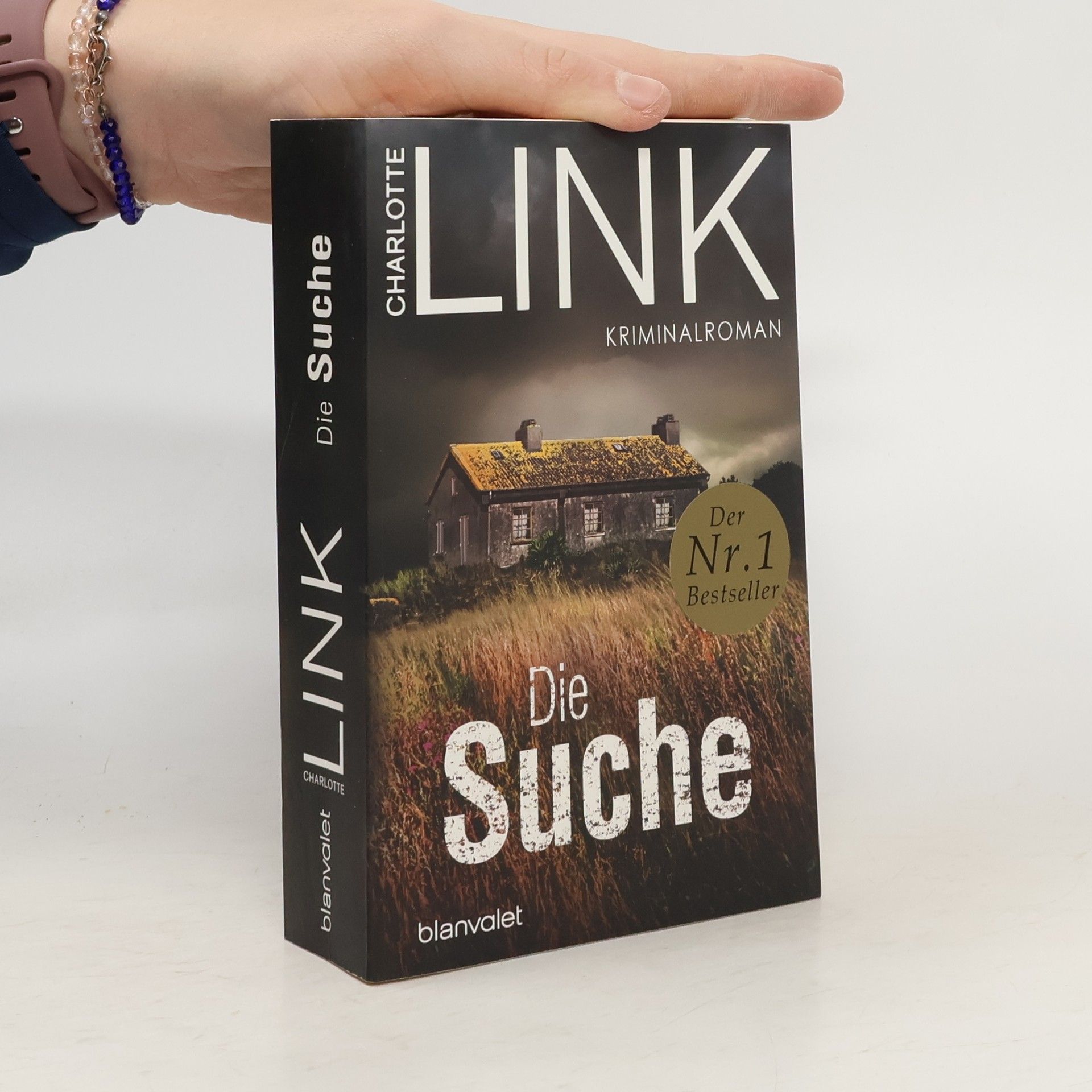 Charlotte Link Die Suche