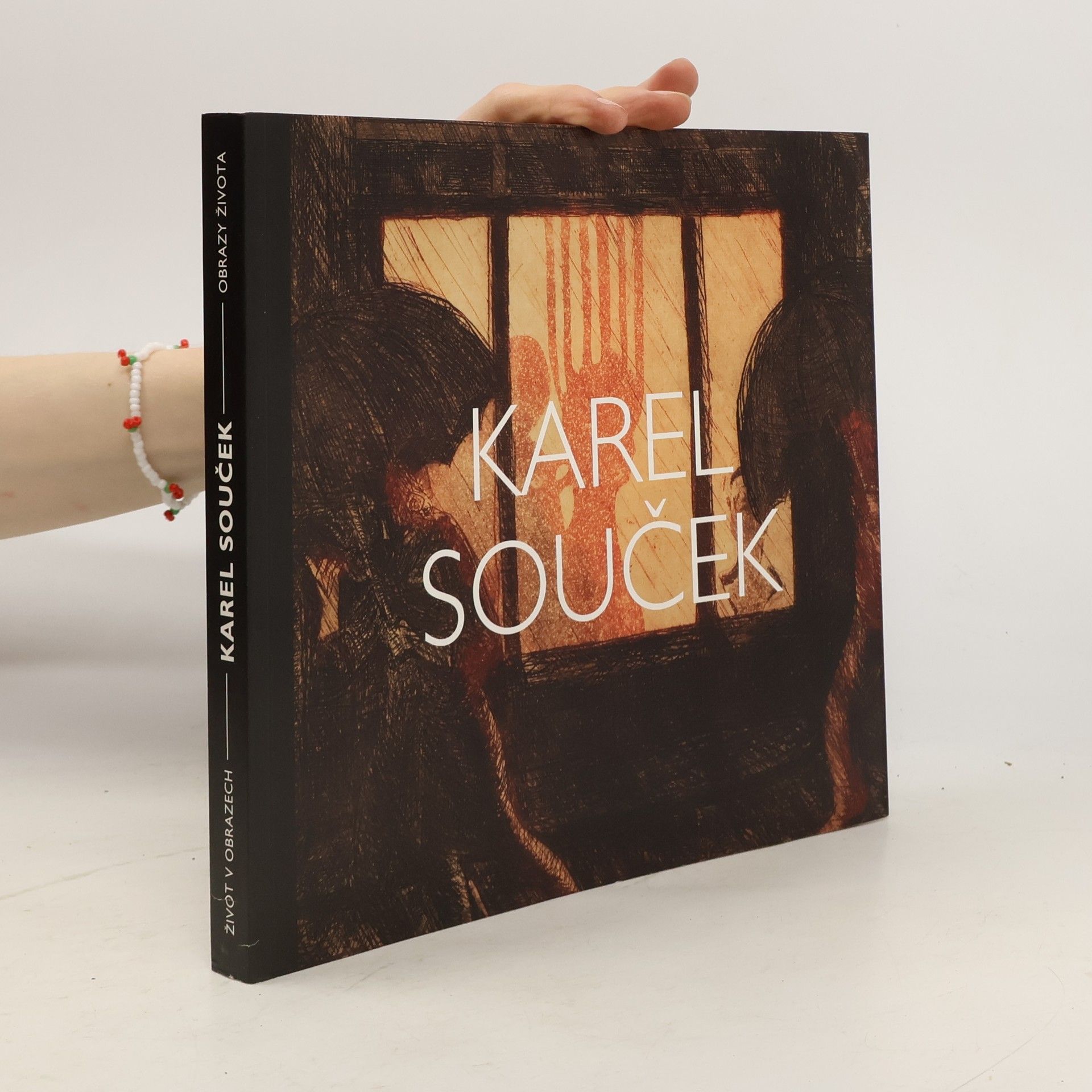 Obrazy života / Život v obrazech