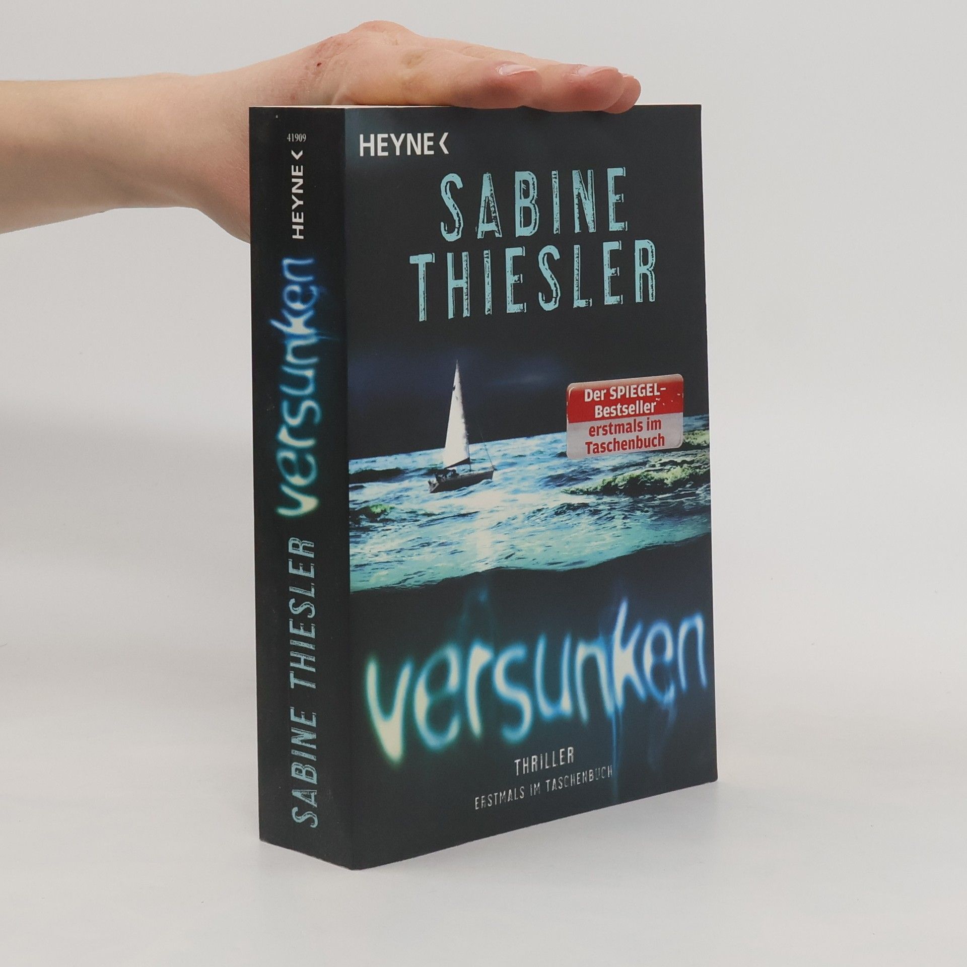 Sabine Thiesler Versunken