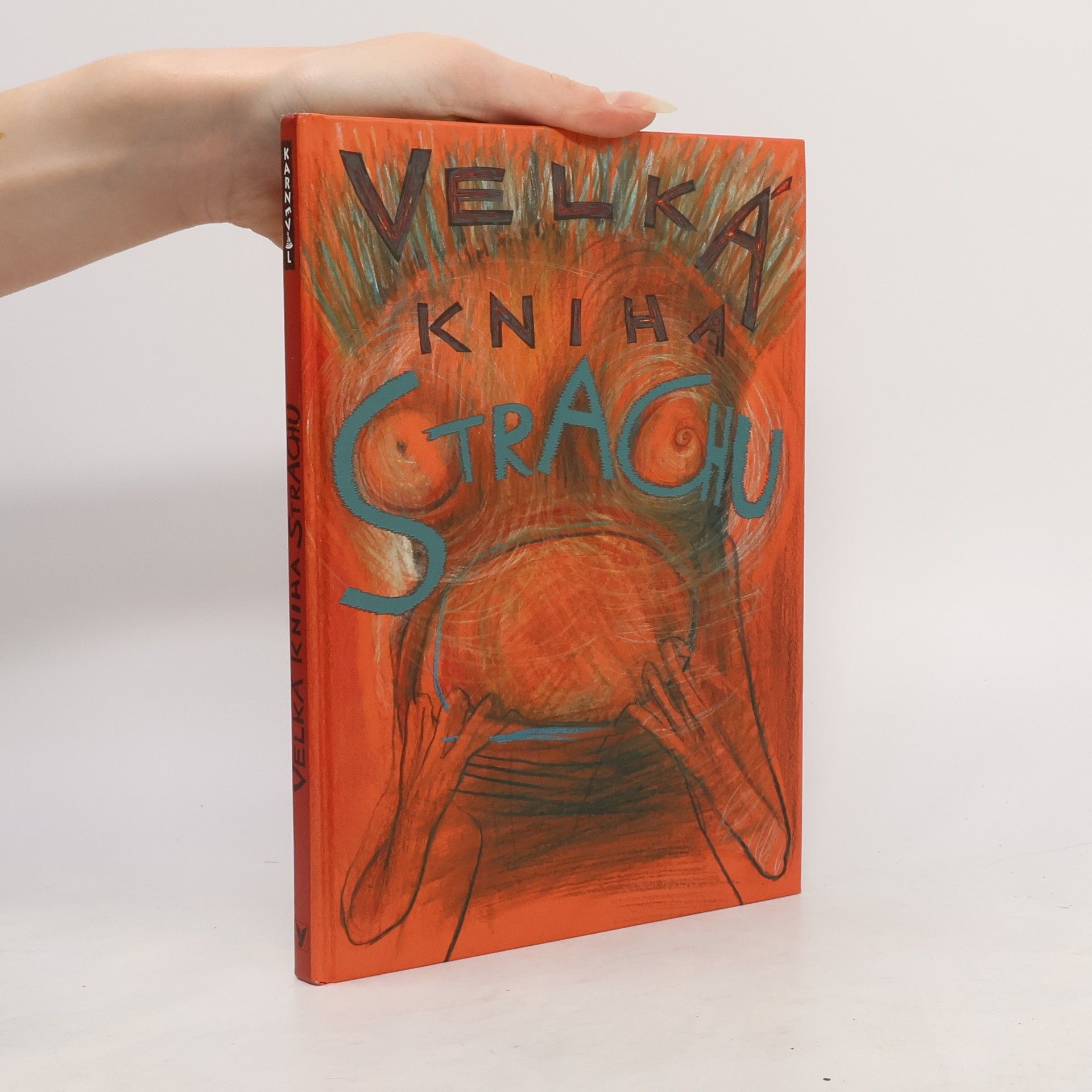 Veronika Bohatá Velká kniha strachu