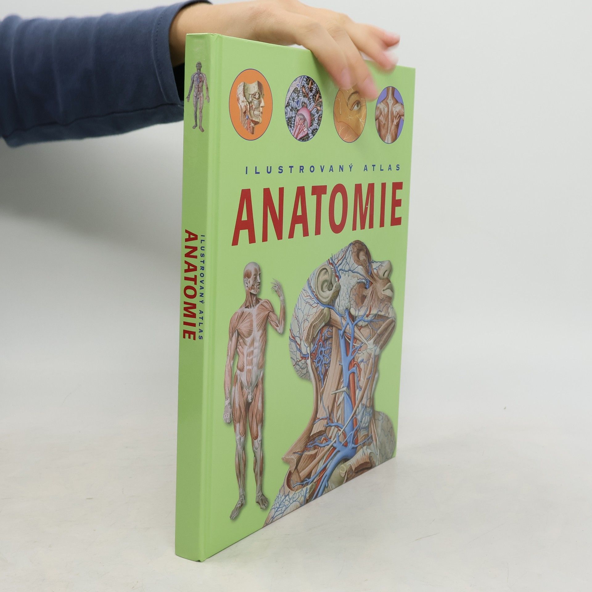 Ilustrovaný atlas anatomie