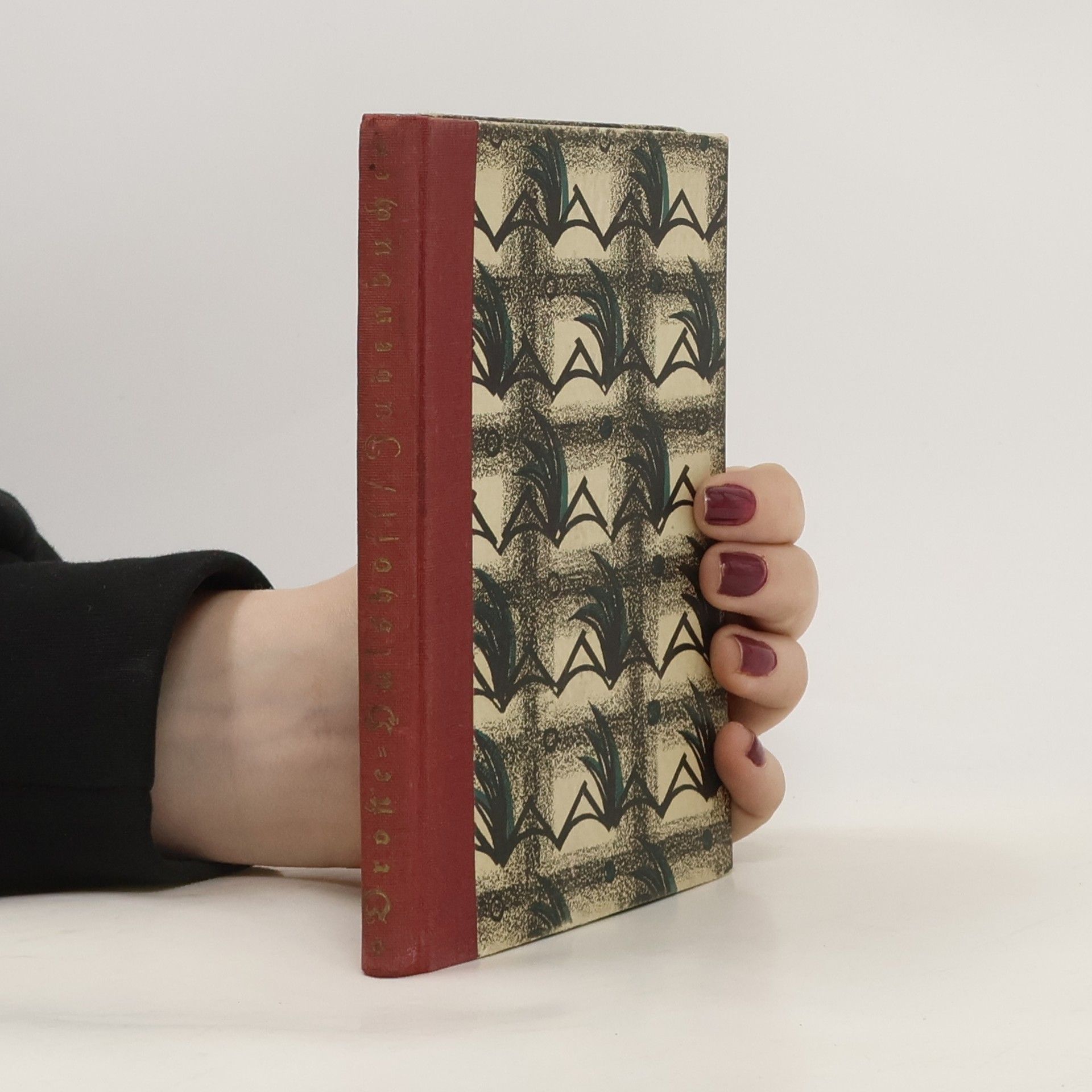 Autorenkollektiv Die Judenbuche