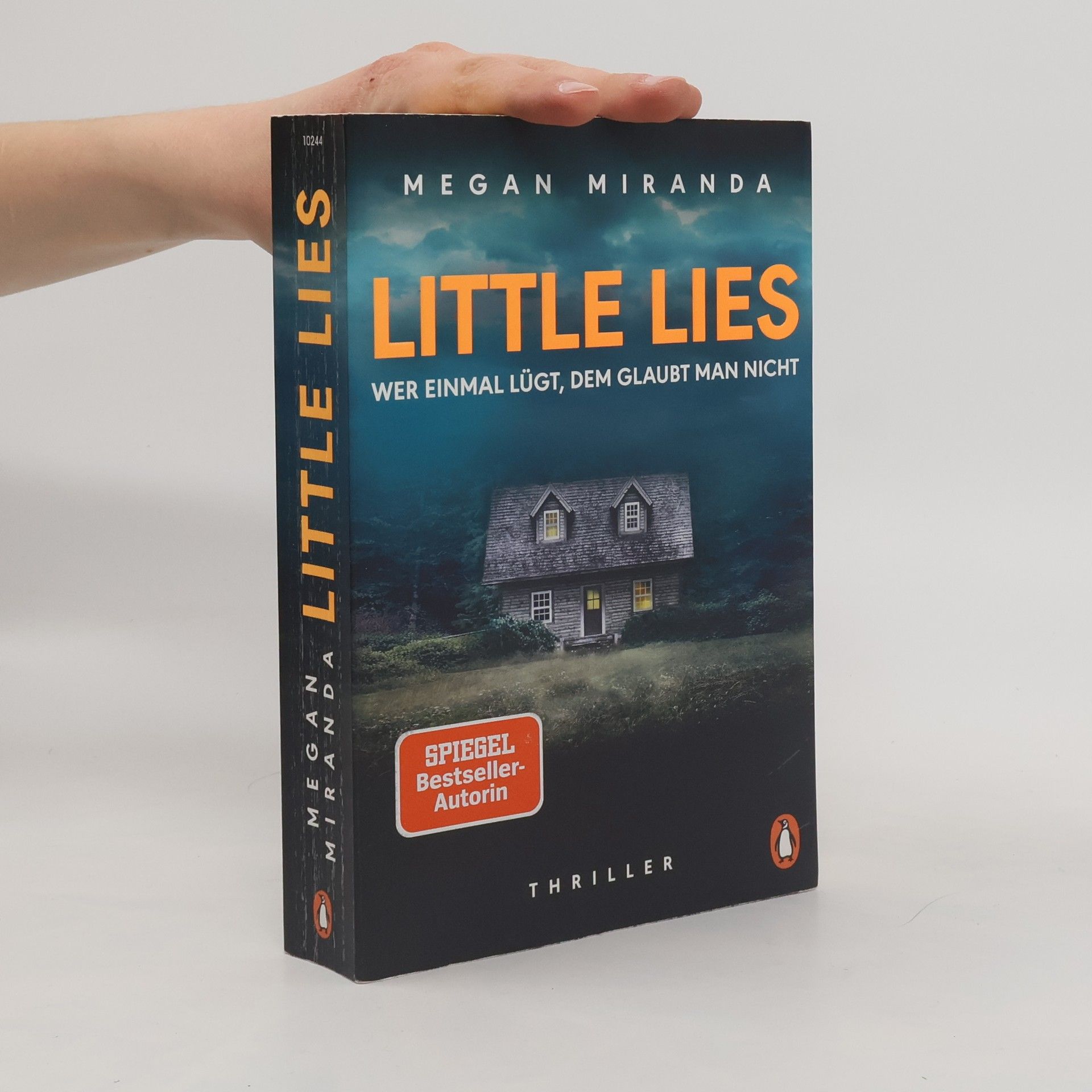 Megan Miranda LITTLE LIES – Wer einmal lügt, dem glaubt man nicht