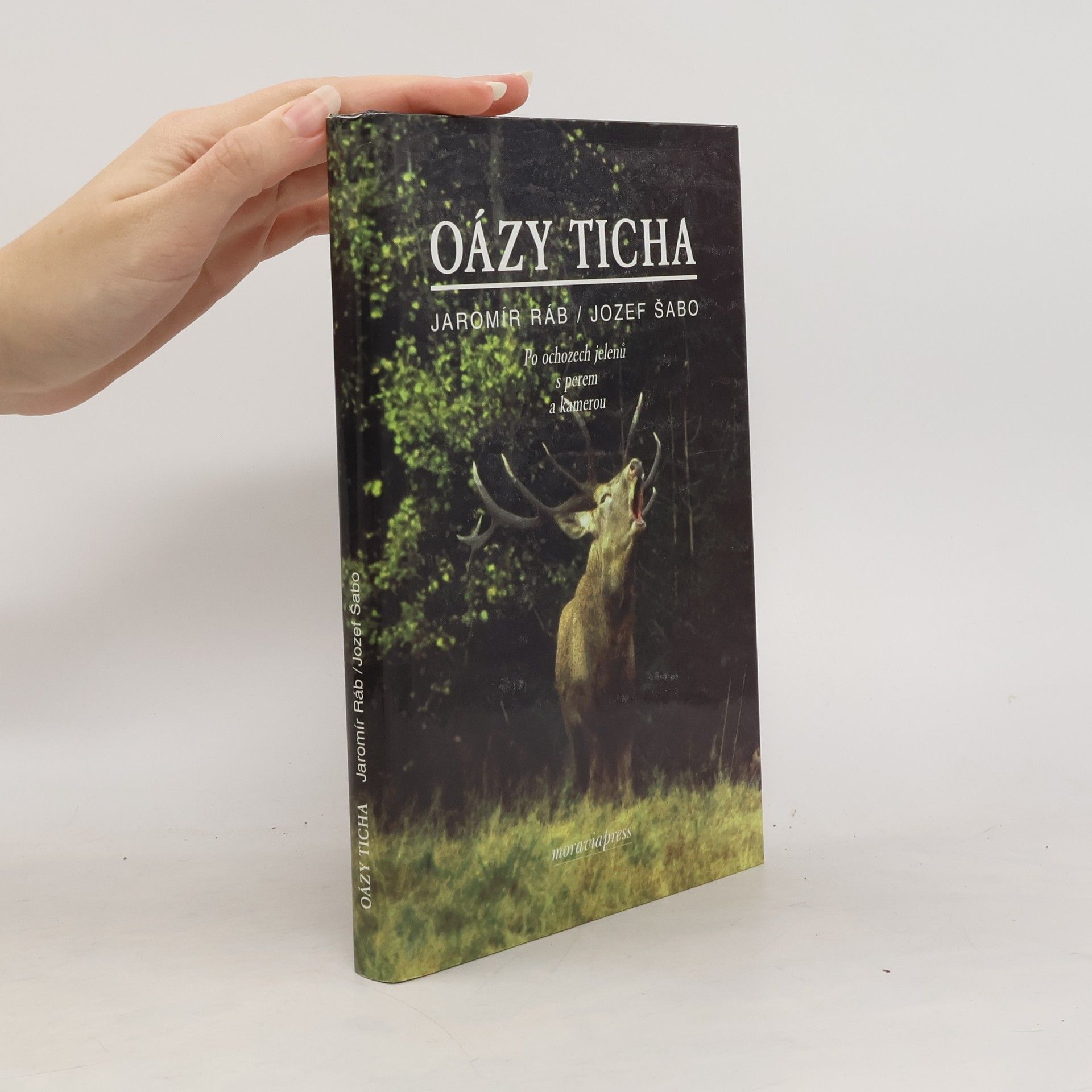 Jaromír Ráb Oázy ticha