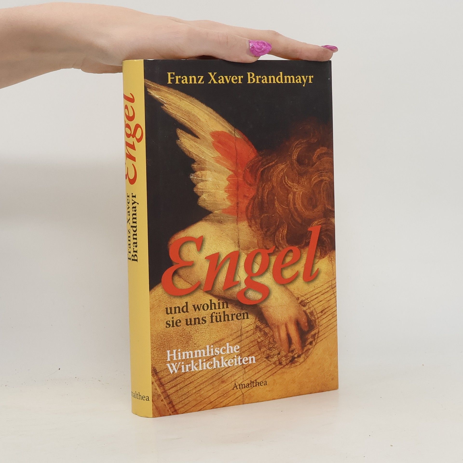 Franz Xaver Brandmayr Engel und wohin sie uns führen