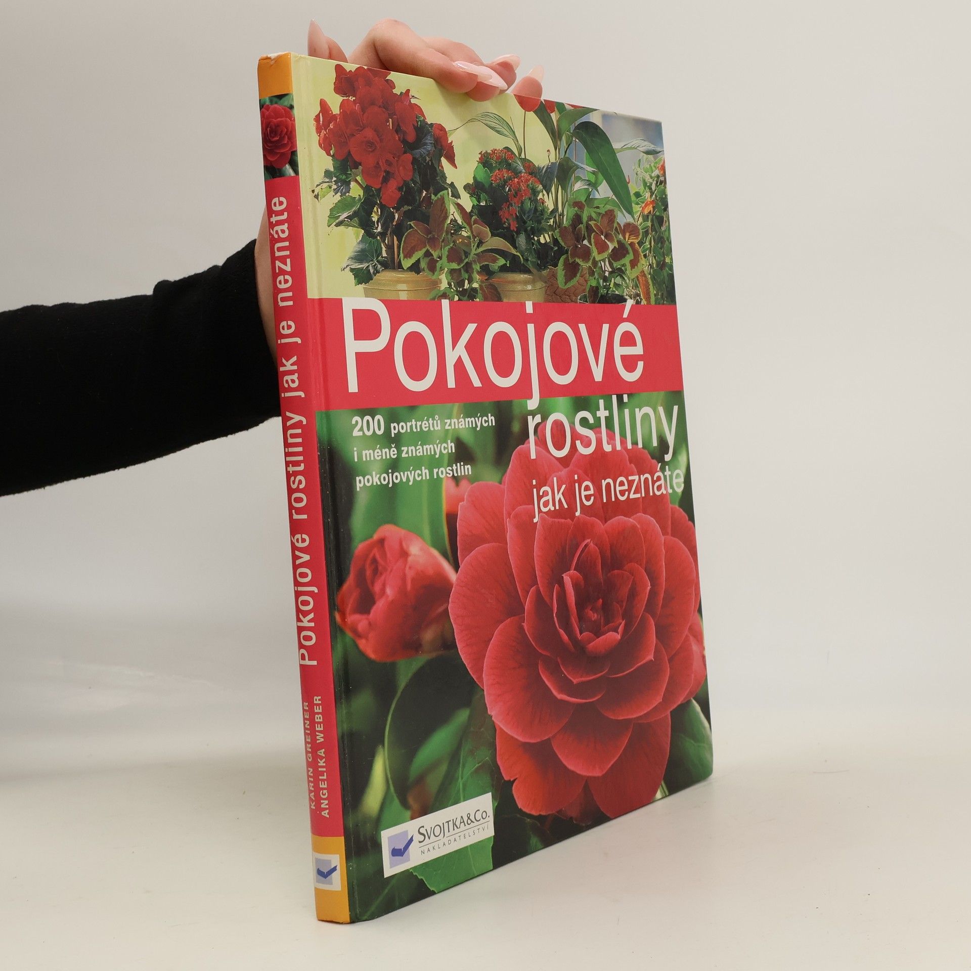 Pokojové rostliny jak je neznáte