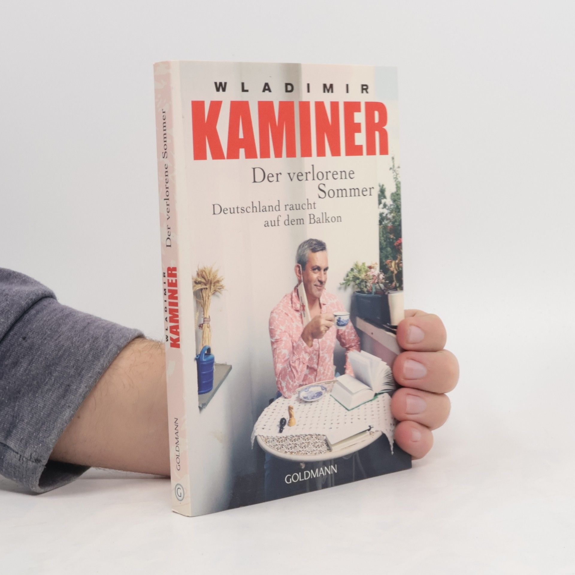 Wladimir Kaminer Der verlorene Sommer