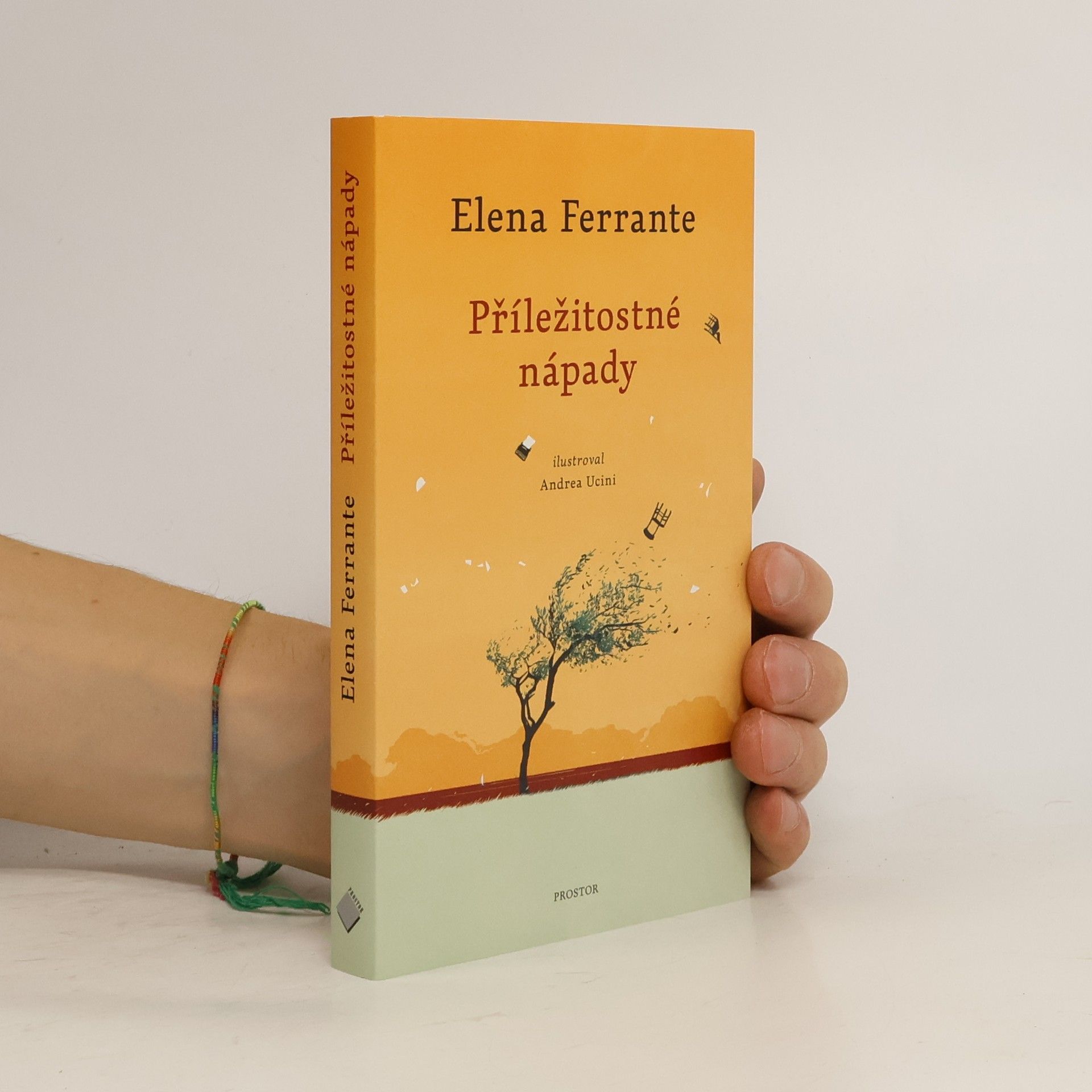 Elena Ferrante Příležitostné nápady