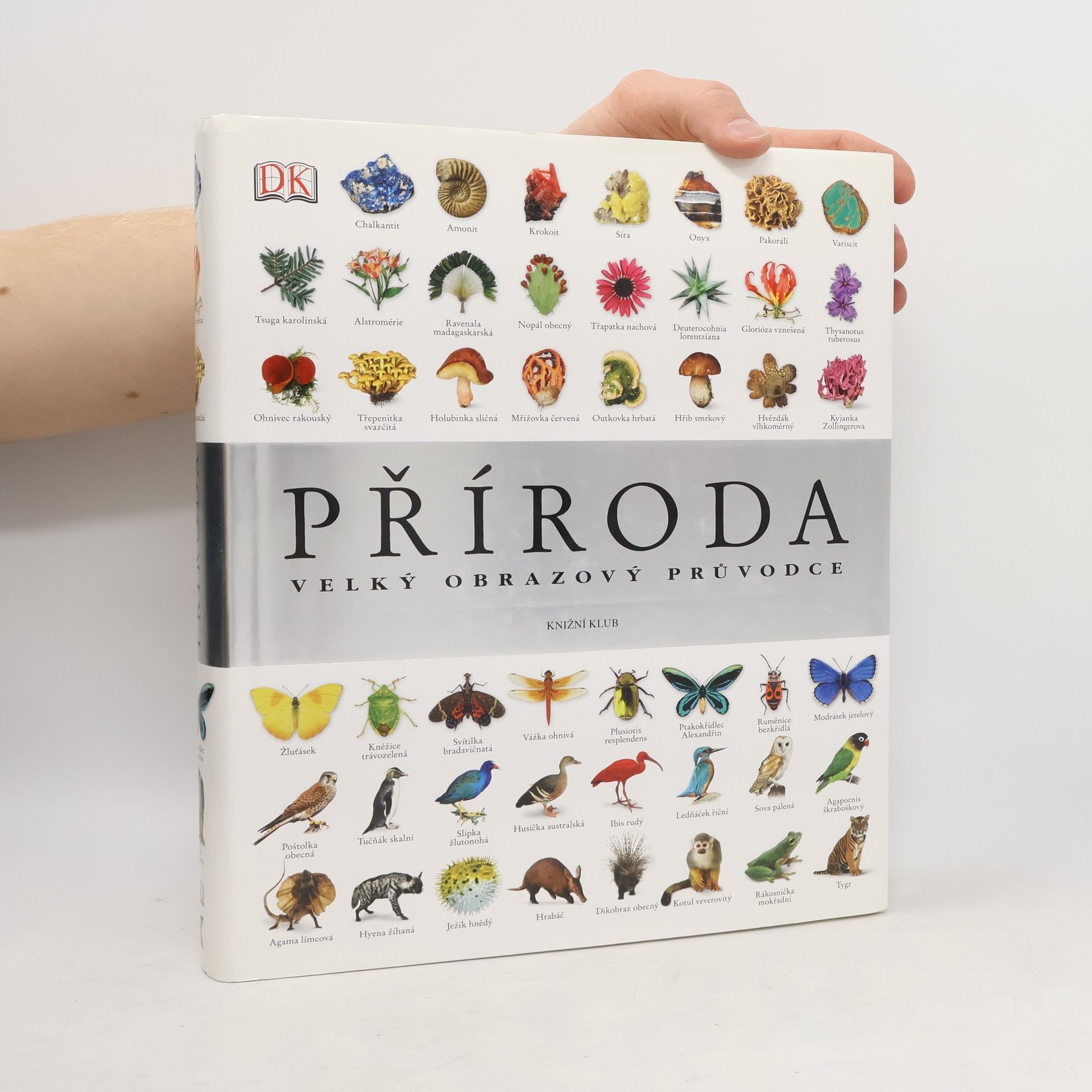 Richard Beatty Příroda – Velký obrazový průvodce