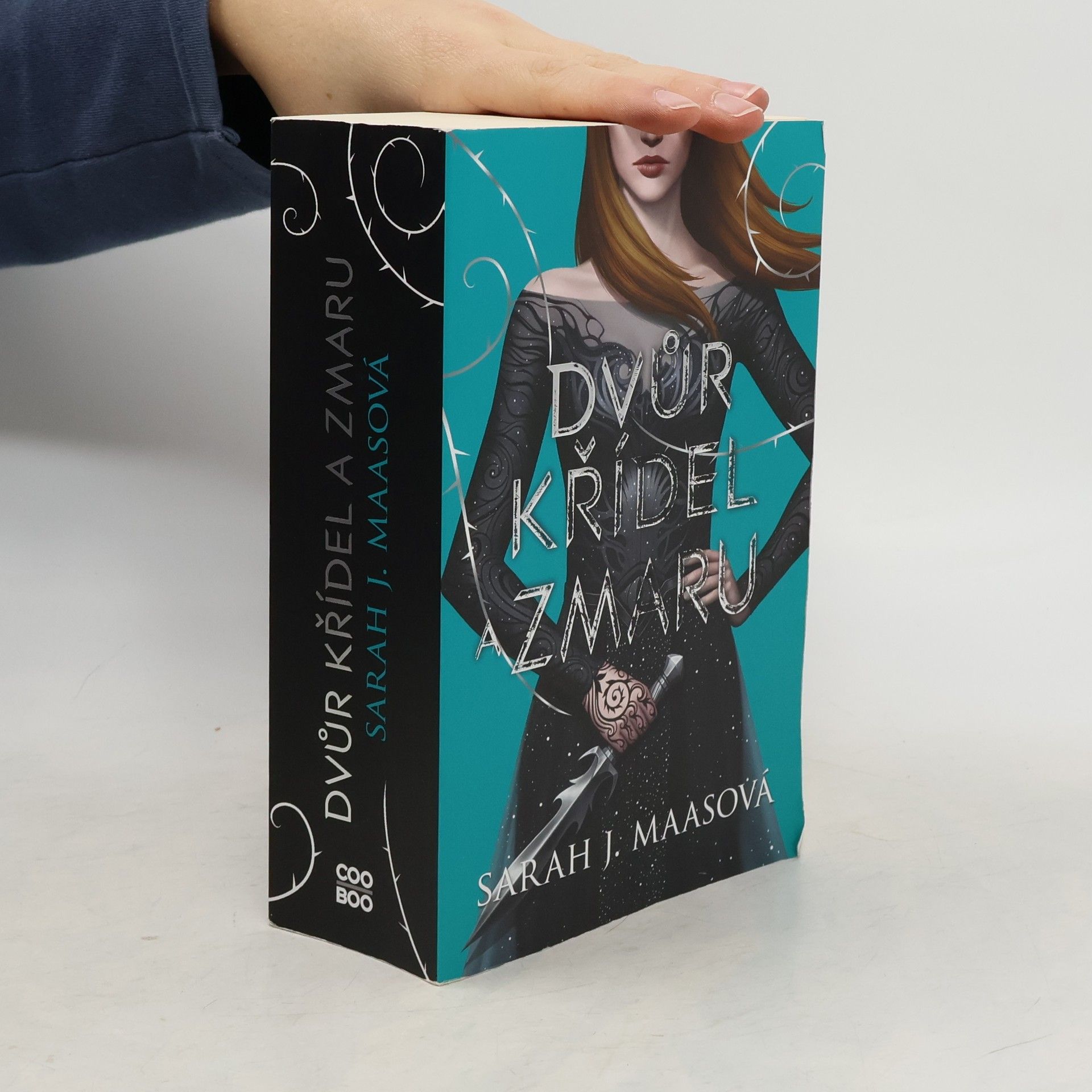 Sarah J. Maas Dvůr křídel a zmaru