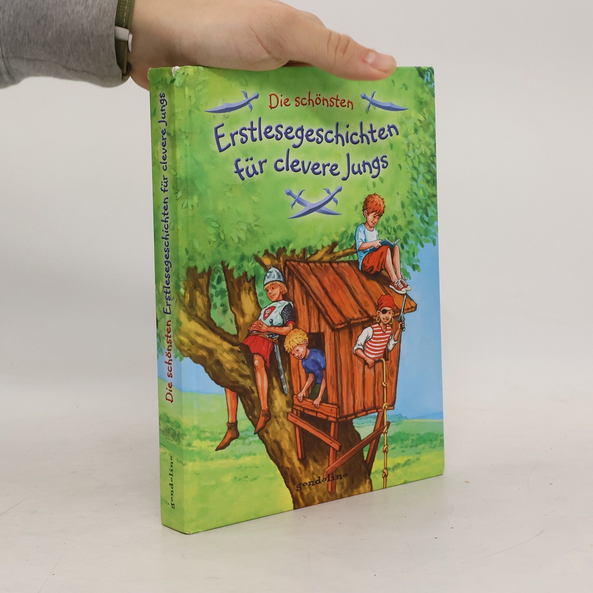 Kolektív autorov Die schönsten: Erstlesegeschichten für clevere Jungs