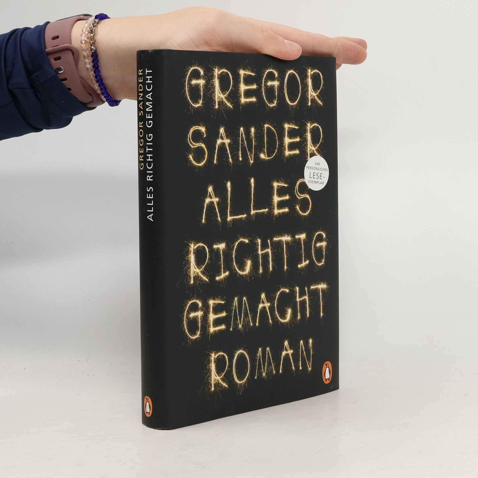 Gregor Sander Alles richtig gemacht