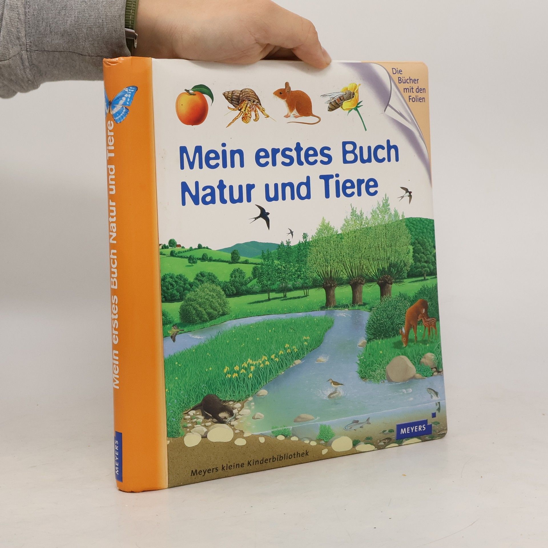 Autores varios Mein erstes Buch Natur und Tiere