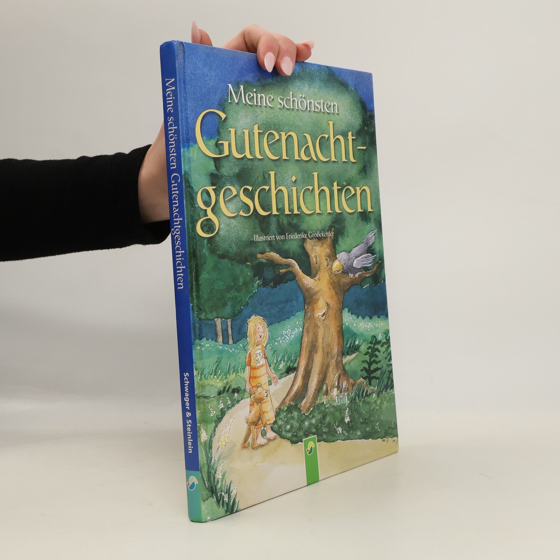 Autorenkollektiv Meine schönsten Gutenachtgeschichten