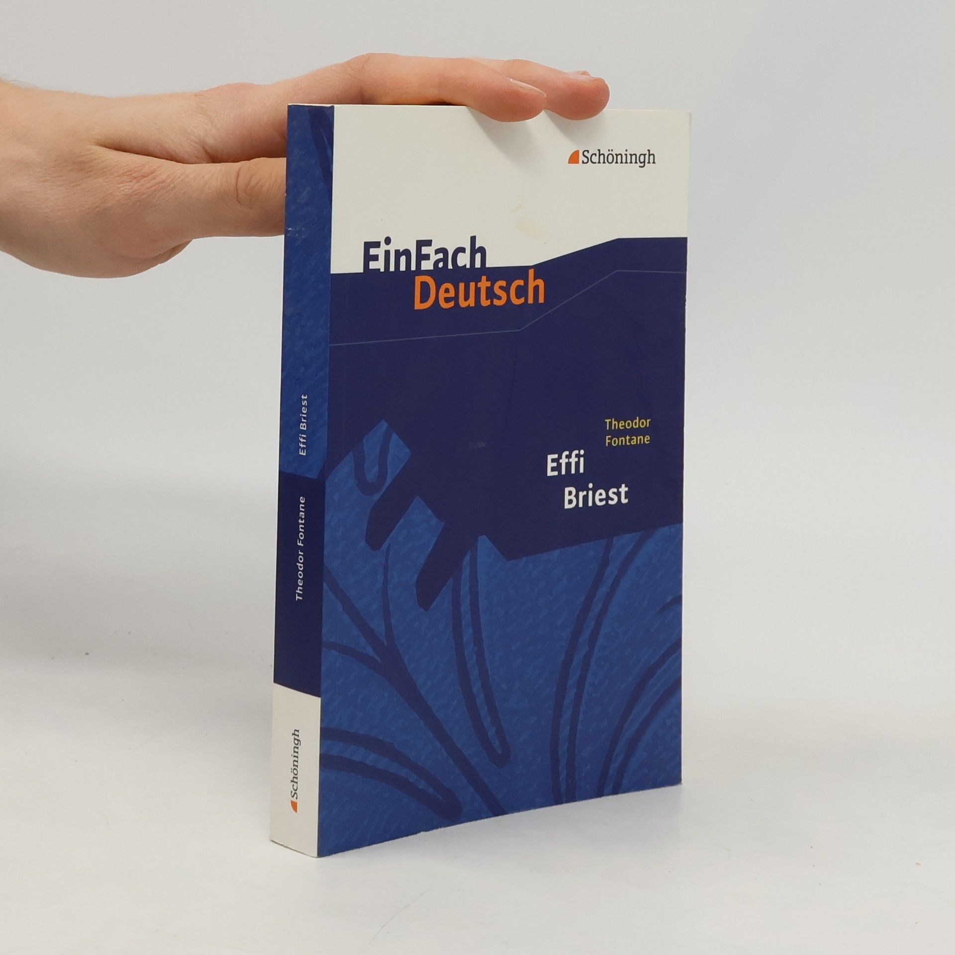 Theodor Fontane EinFach Deutsch: Theodor Fontane: Effi Briest