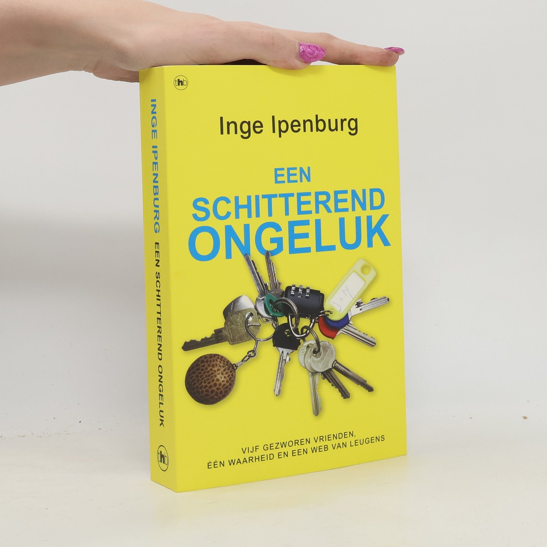 Inge Ipenburg Een schitterend ongeluk