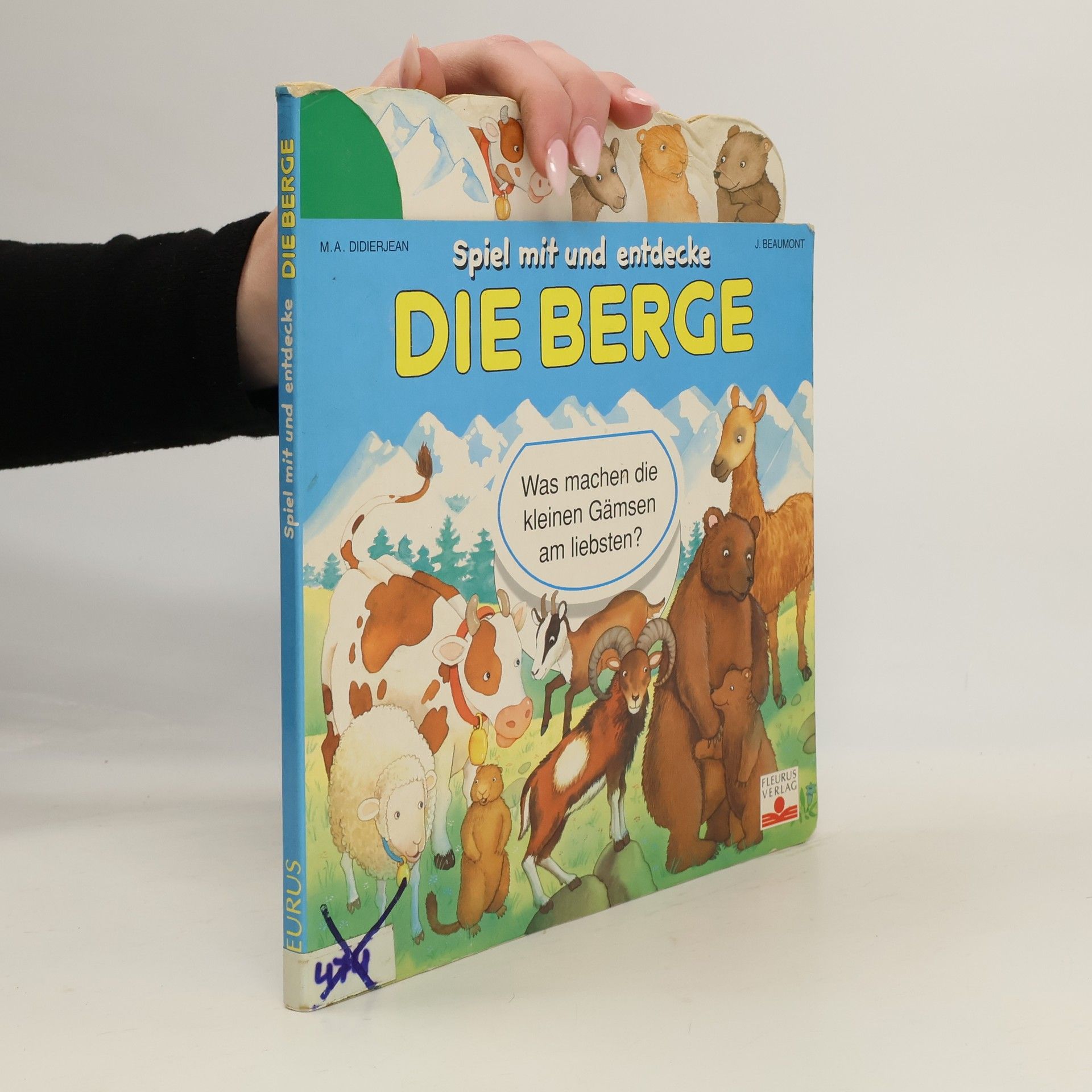 Spiel mit und entdecke: Die Berge