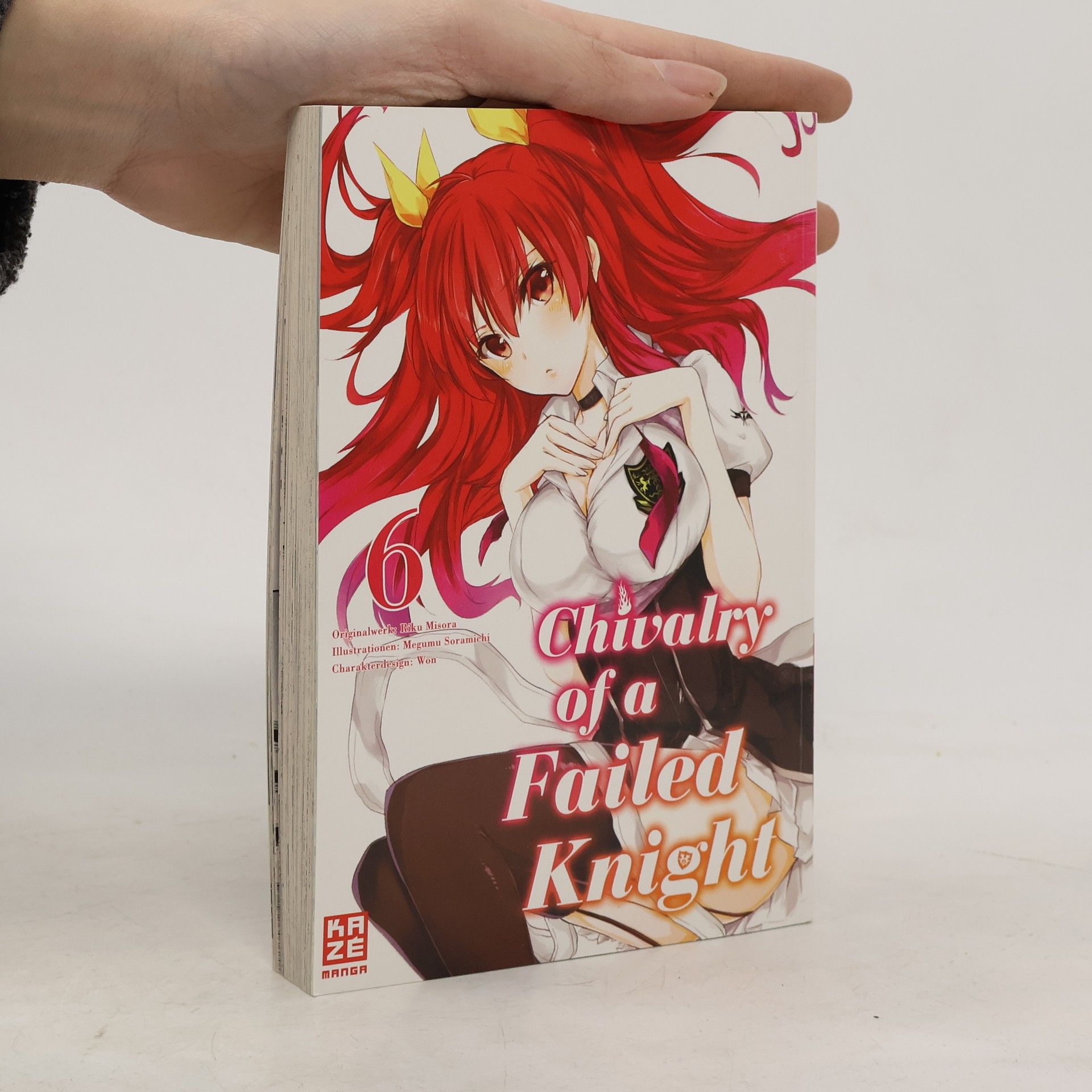 Megumu Soramichi Chivalry of a Failed Knight 6