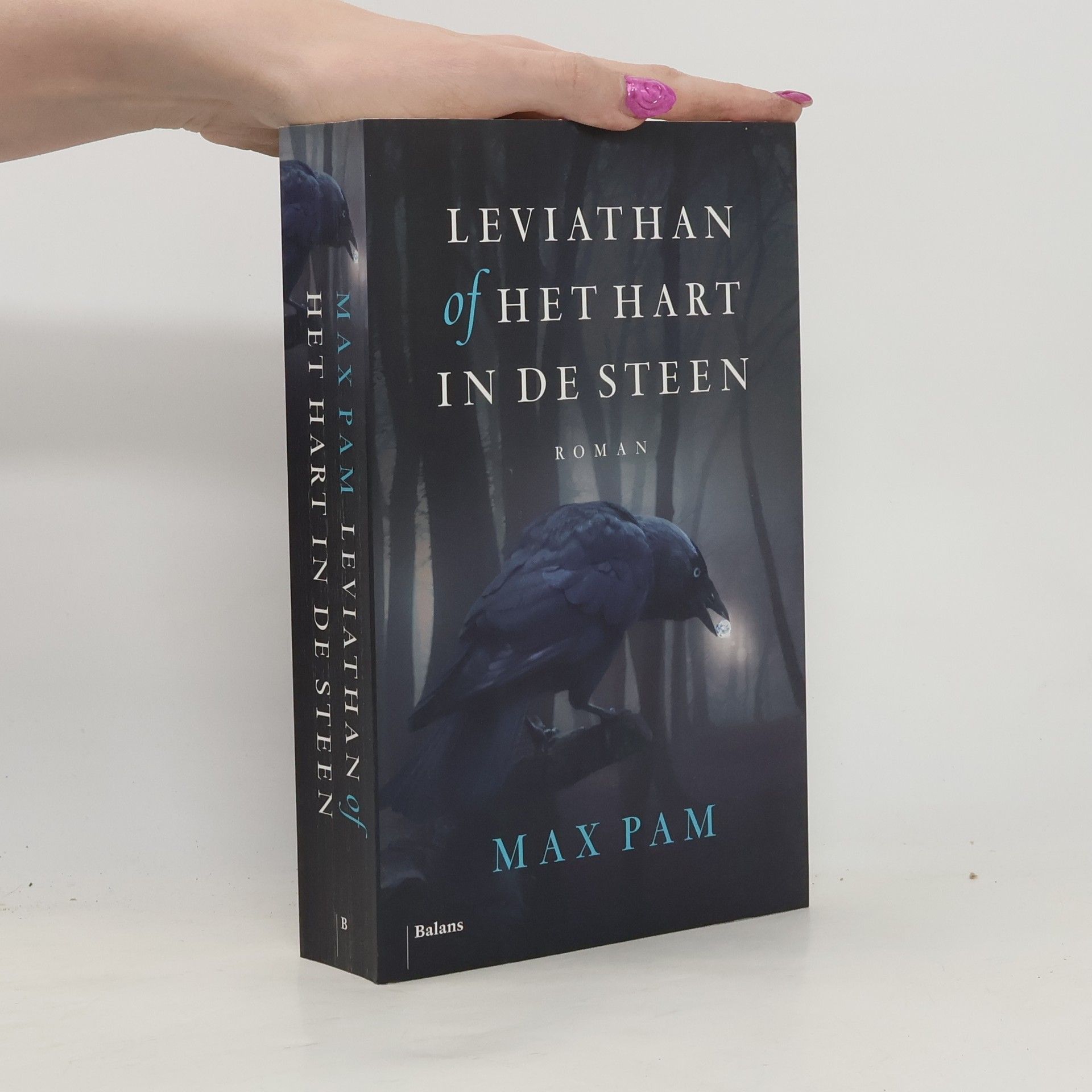 Max Pam Leviathan of het hart in de steen: roman