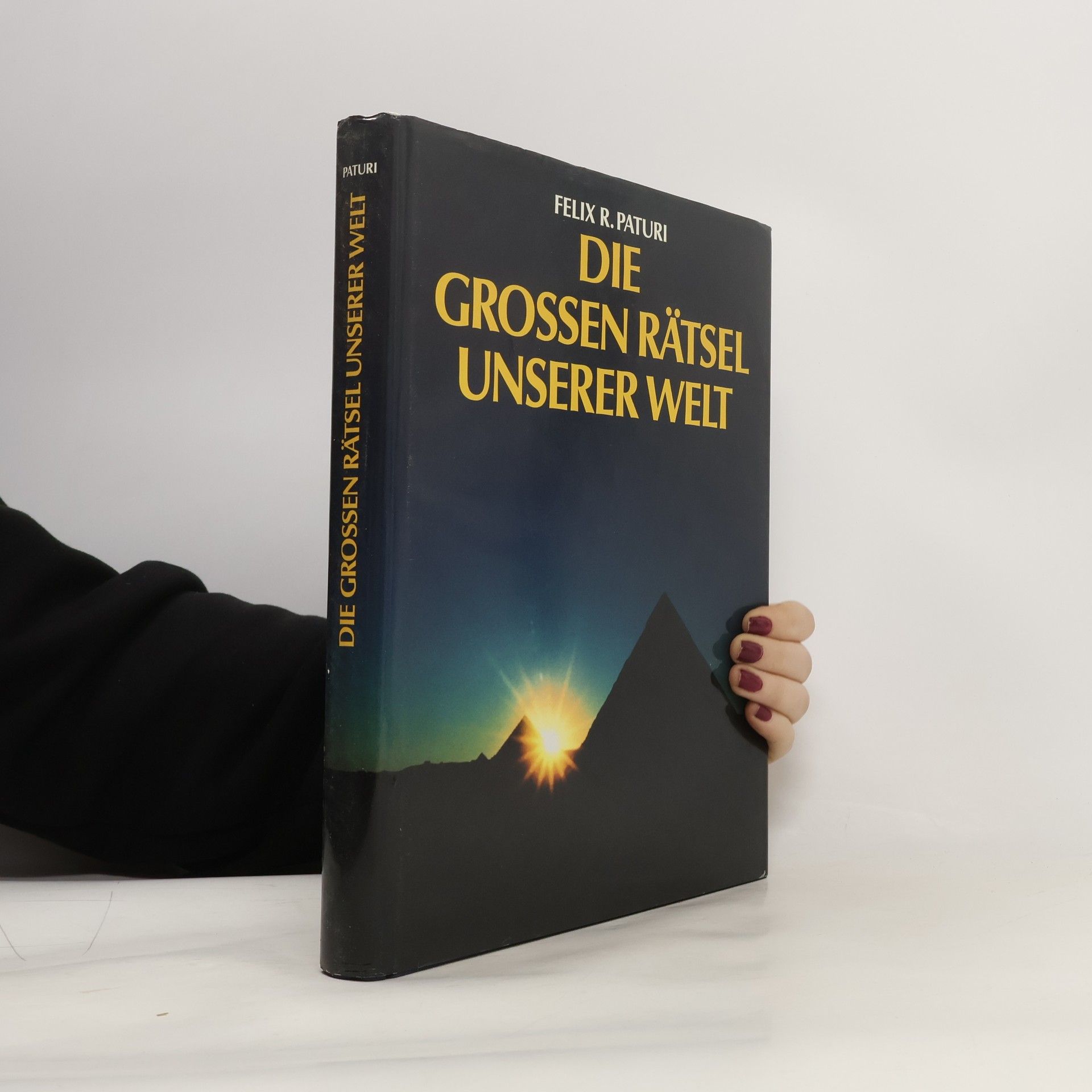 Felix R. Paturi Die grossen Rätsel unsere Welt