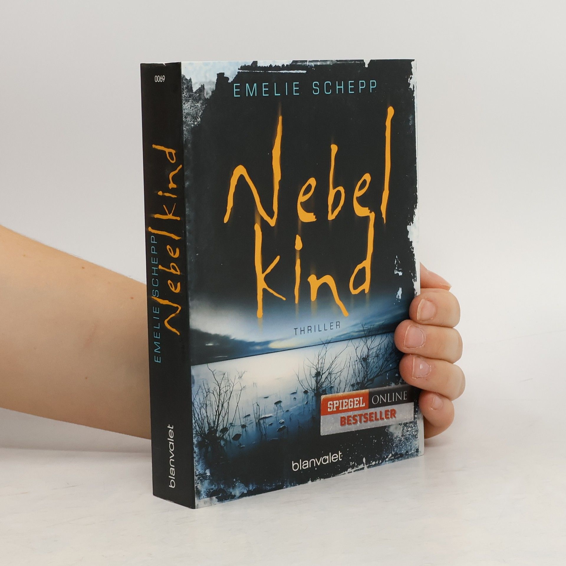 Emelie Schepp Nebelkind