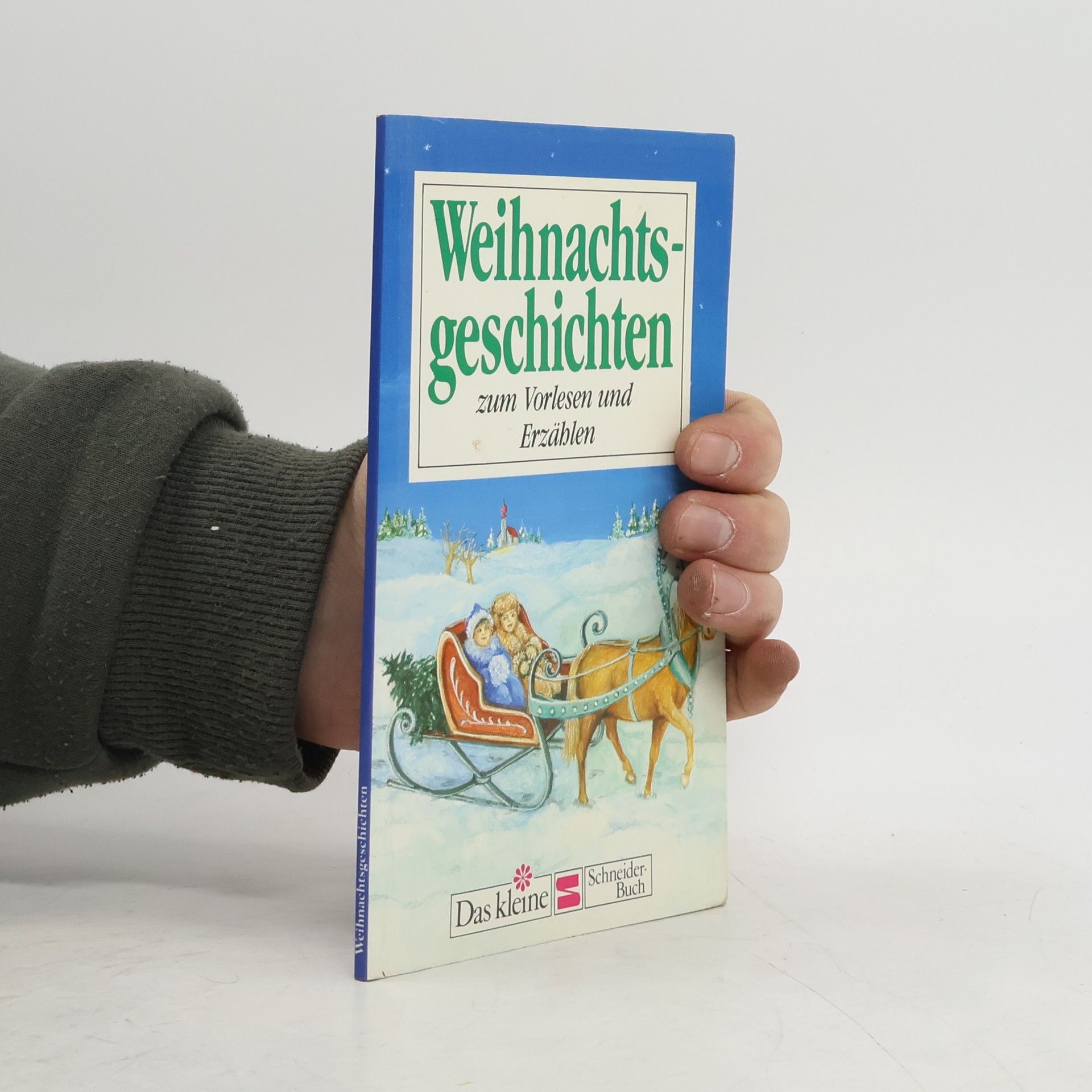 Autorenkollektiv Weihnachtsgeschichten zum Vorlesen und Erzählen