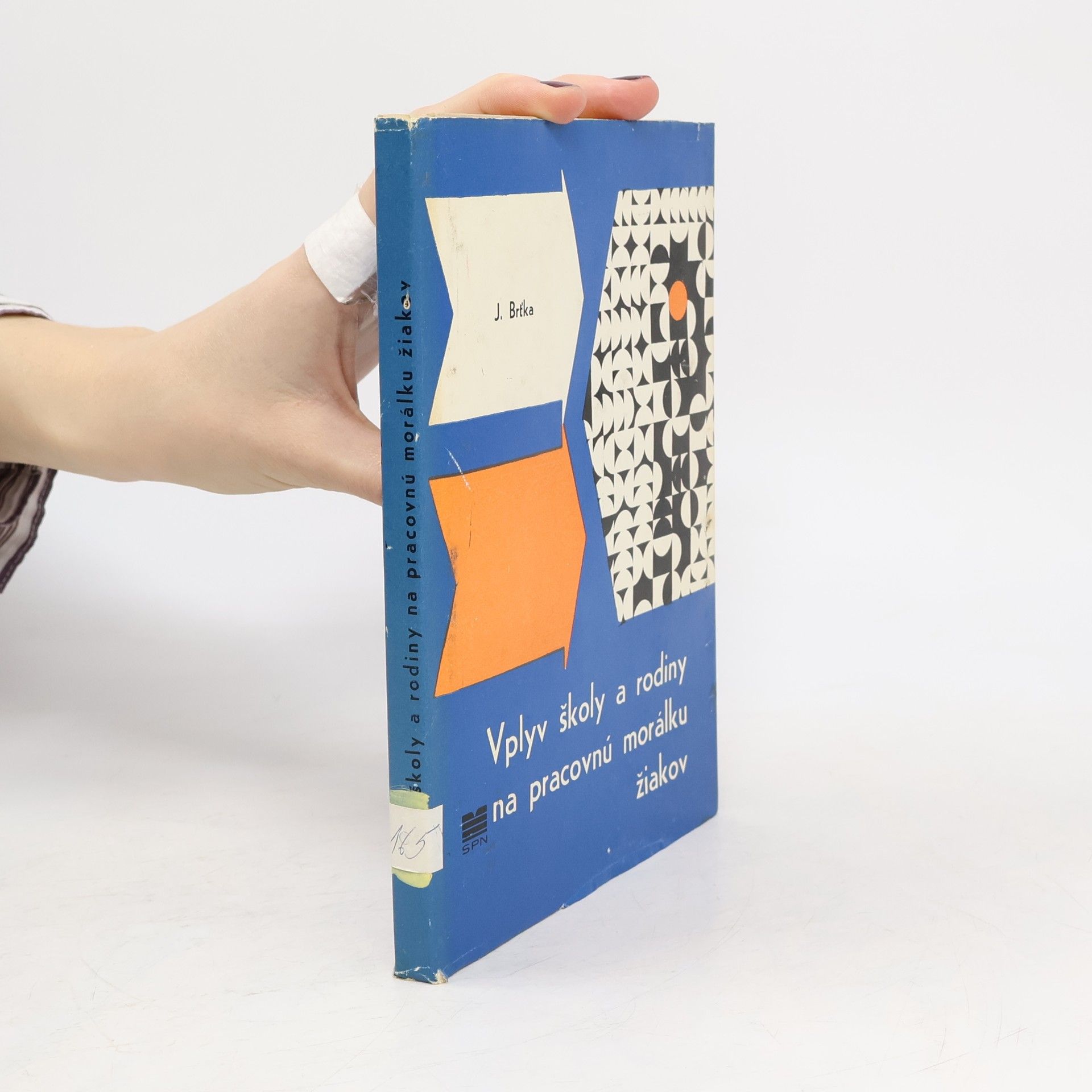 Vplyv školy a rodiny na pracovnú morálku žiakov