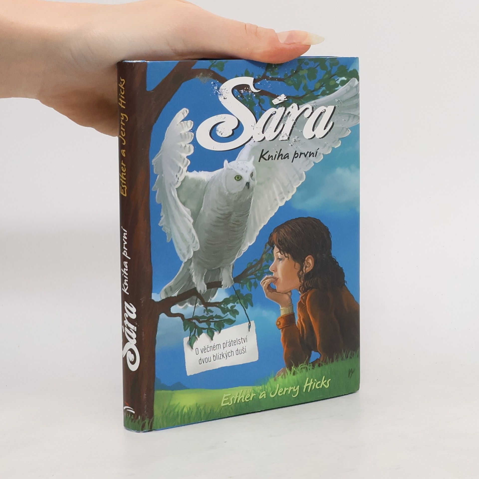 Esther Hicks Sára. Kniha první, O věčném přátelství dvou blízkých duší