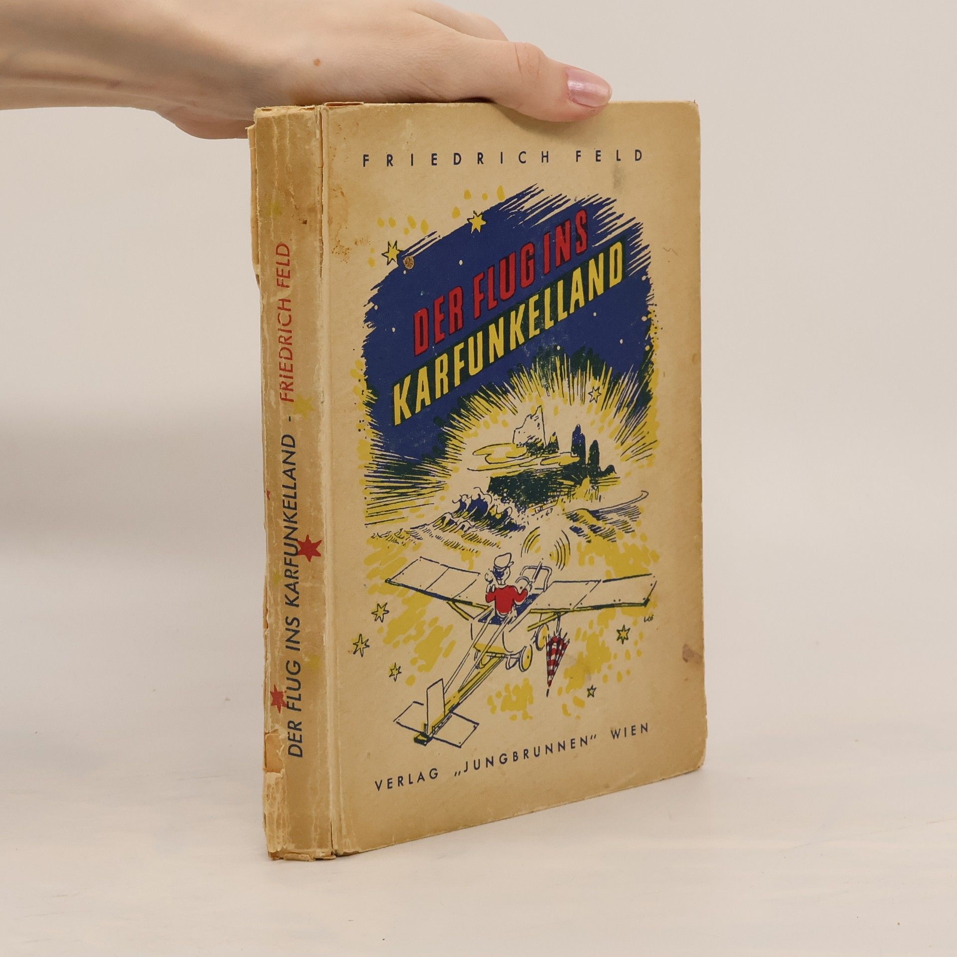 Friedrich Feld Der Flug ins Karfunkelland