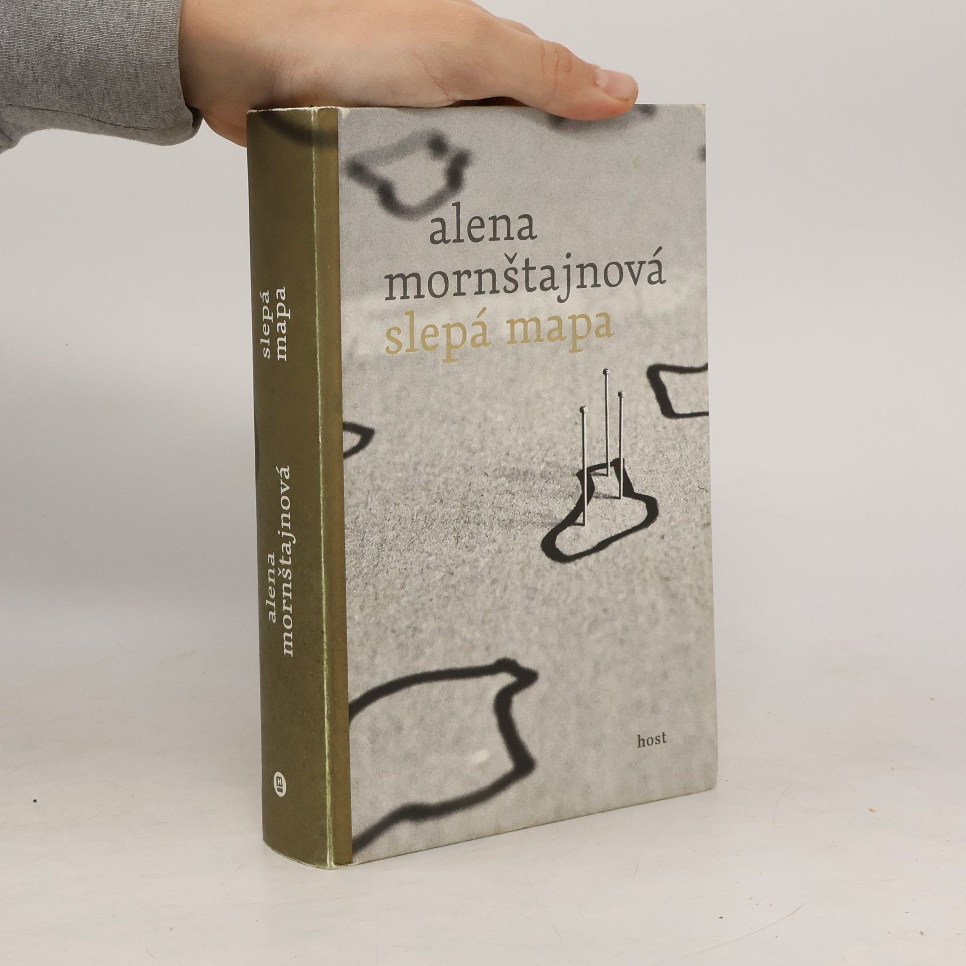 Alena Mornštajnová Slepá mapa