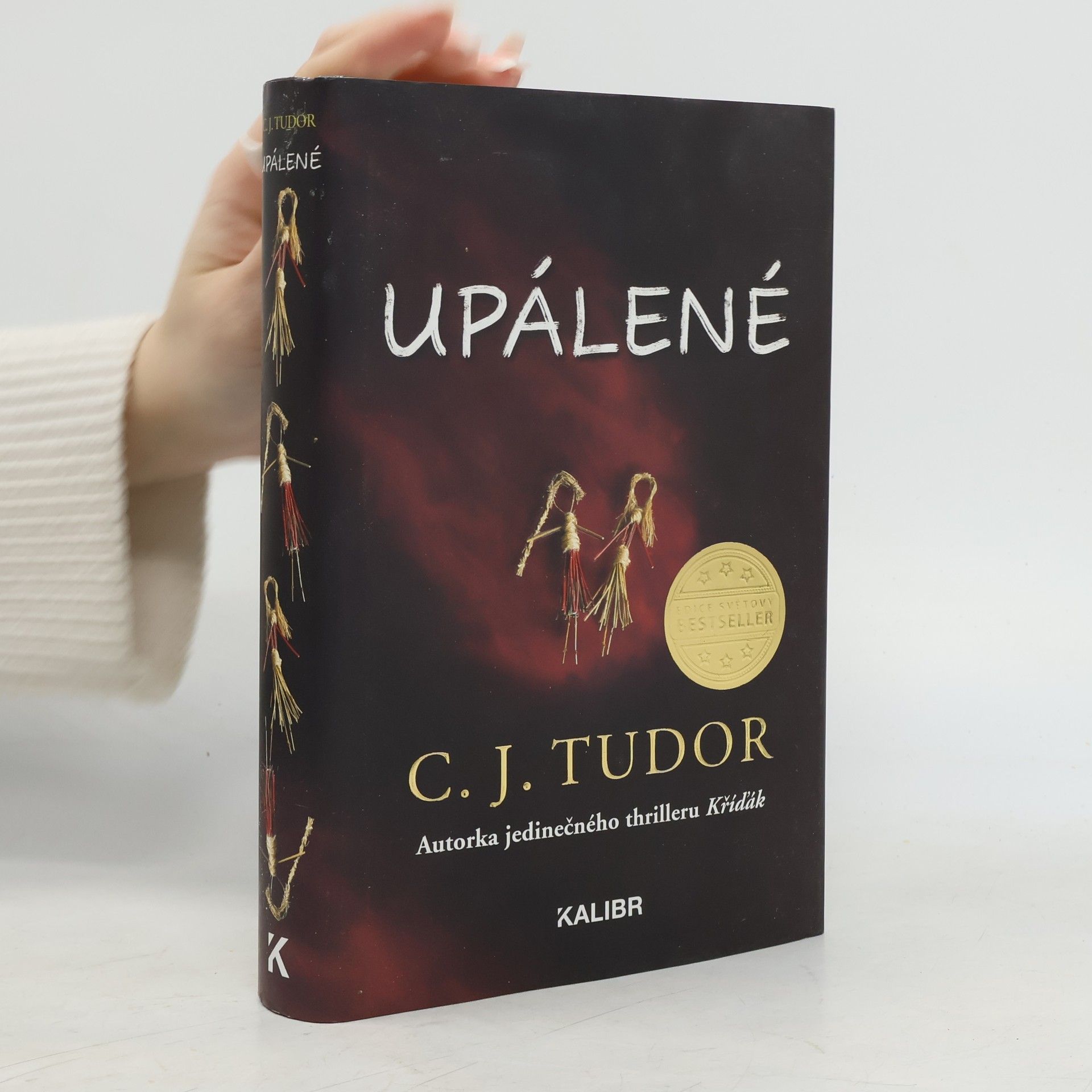 C. J. Tudor Upálené