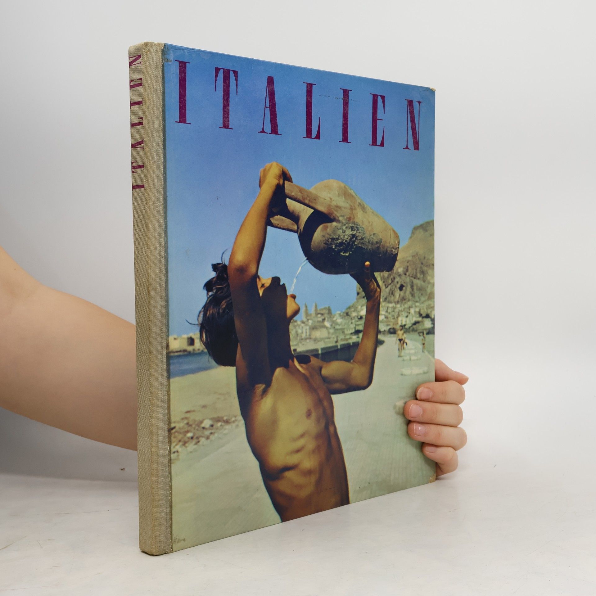 Plinio Salerno Italien. Mit einer Texteinführung