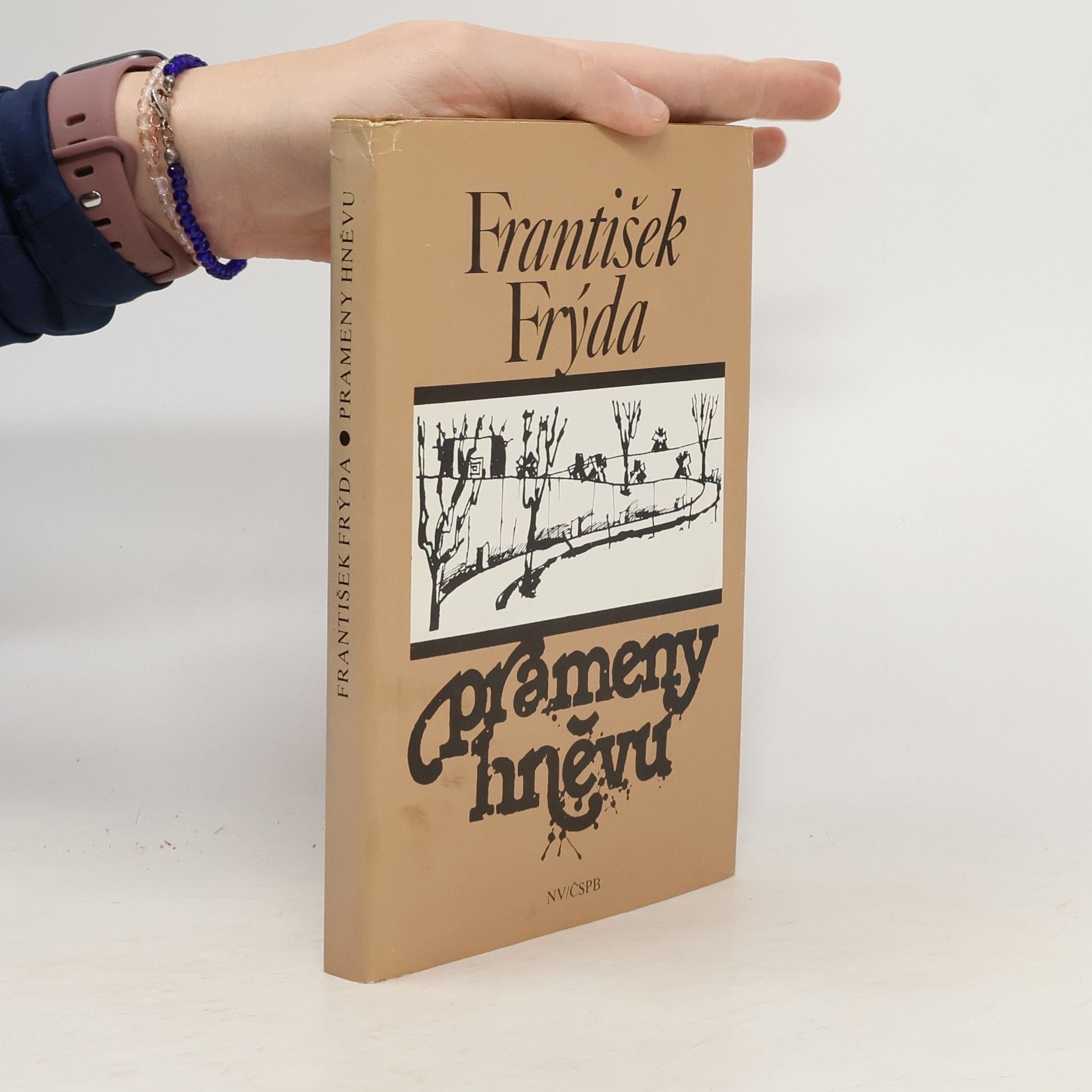 Autorenkollektiv Prameny hněvu