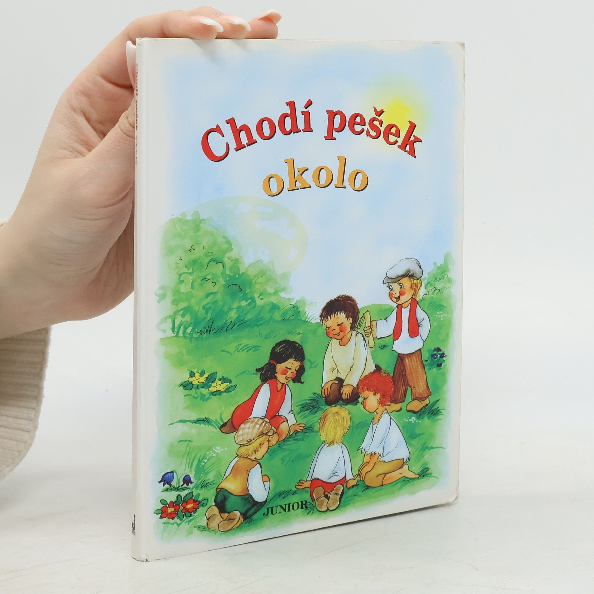 Vladimíra Vopičková Chodí pešek okolo (leporelo)