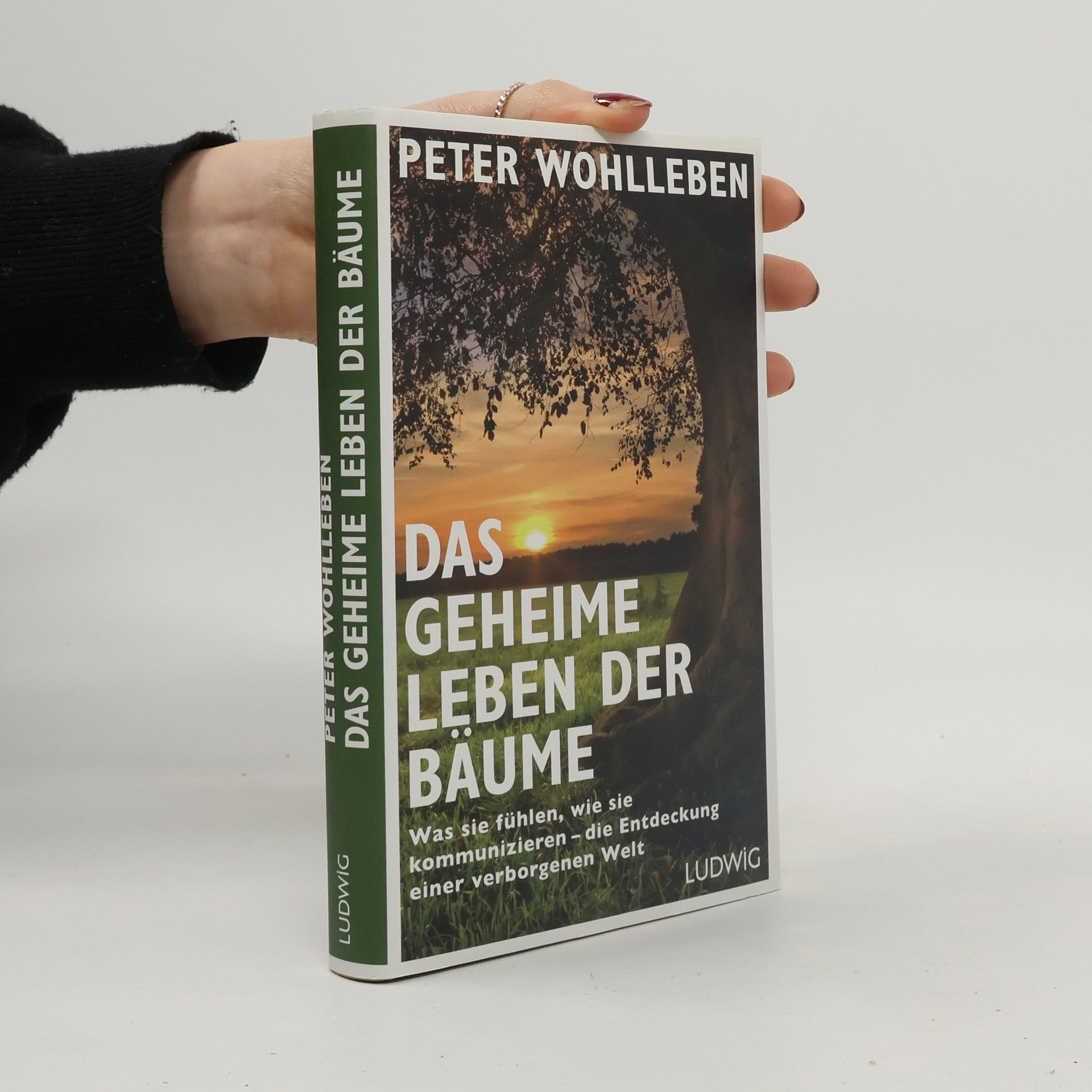 Peter Wohlleben Das geheime Leben der Bäume