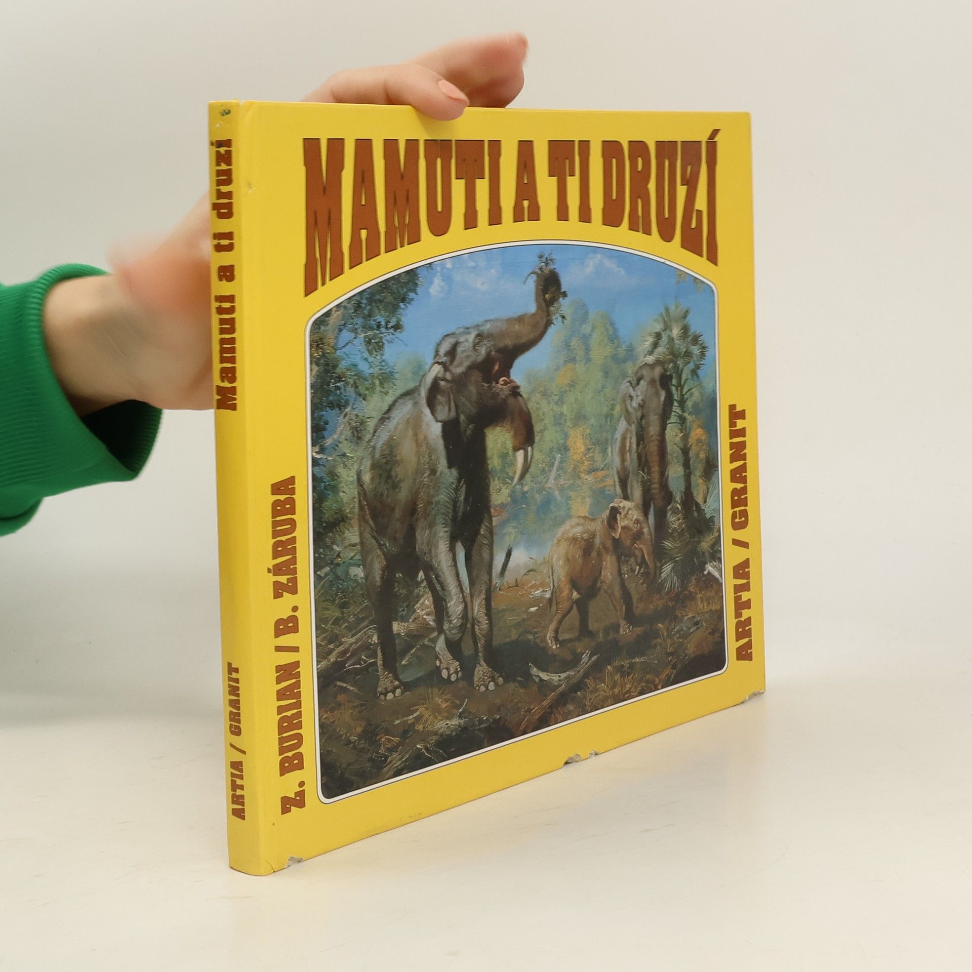 Bořivoj Záruba Mamuti a ti druzí