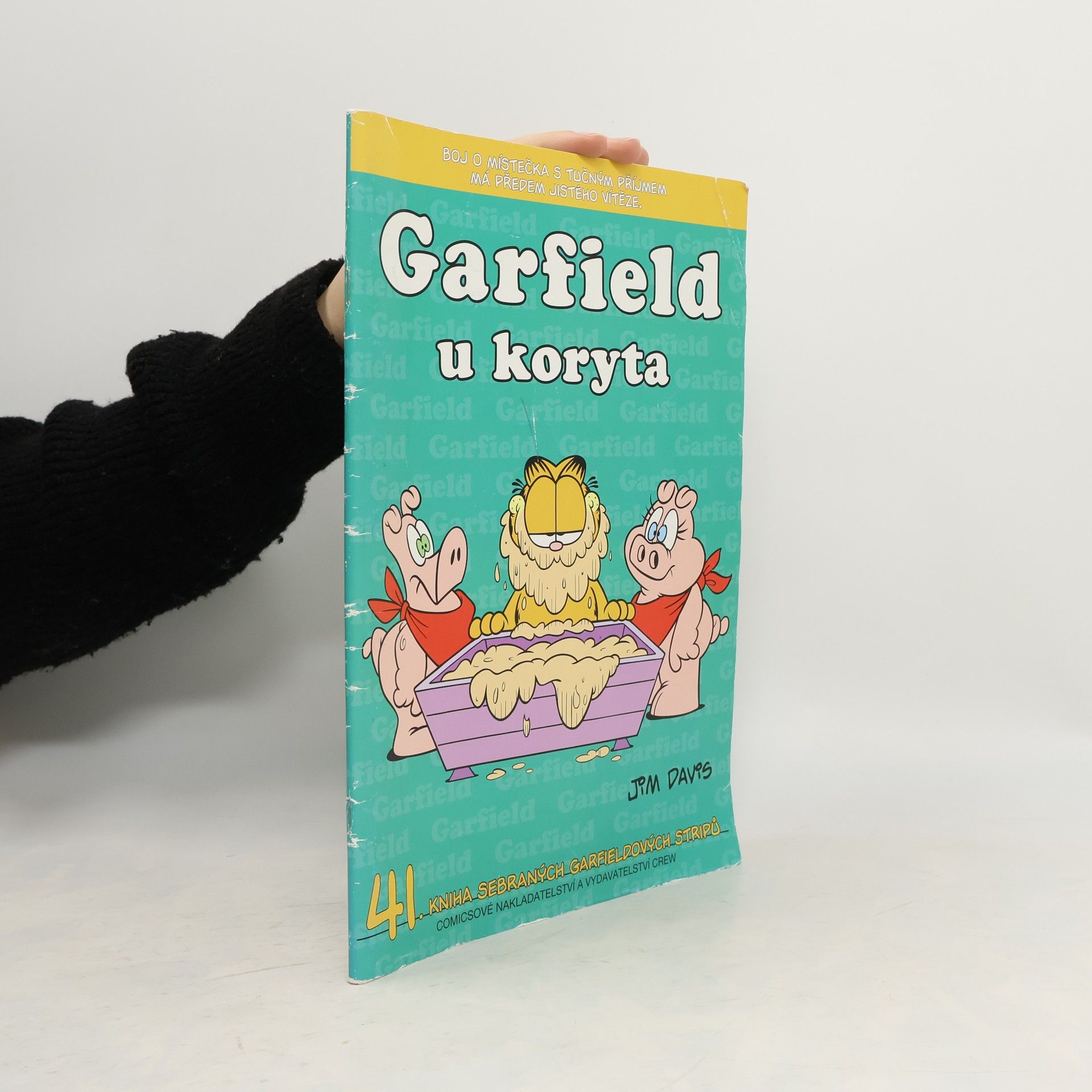 Jim Davis Garfield u koryta (41. díl)