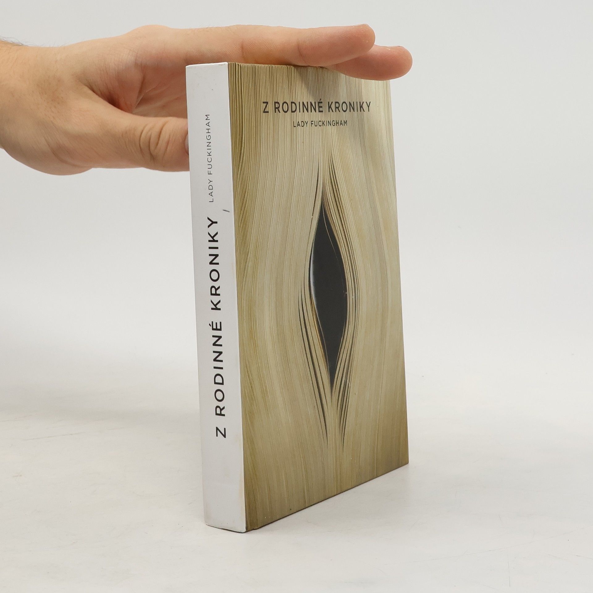 Kolektiv autorů Z rodinné kroniky Lady Fuckingham