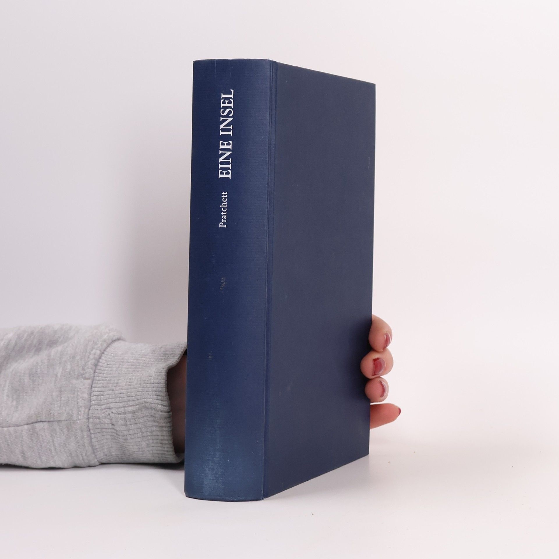 Terry Pratchett Eine Insel