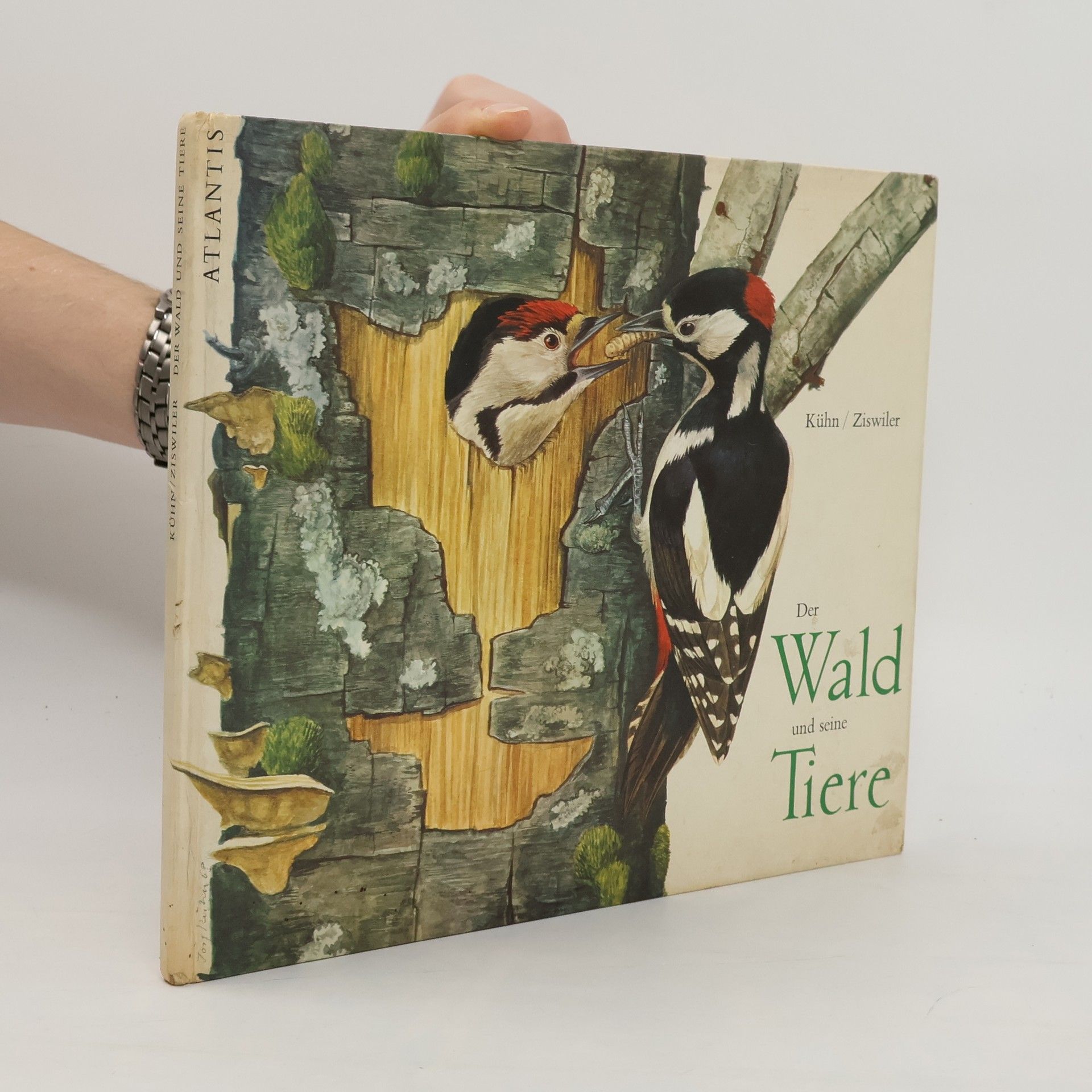 Autorenkollektiv Der Wald und seine Tiere