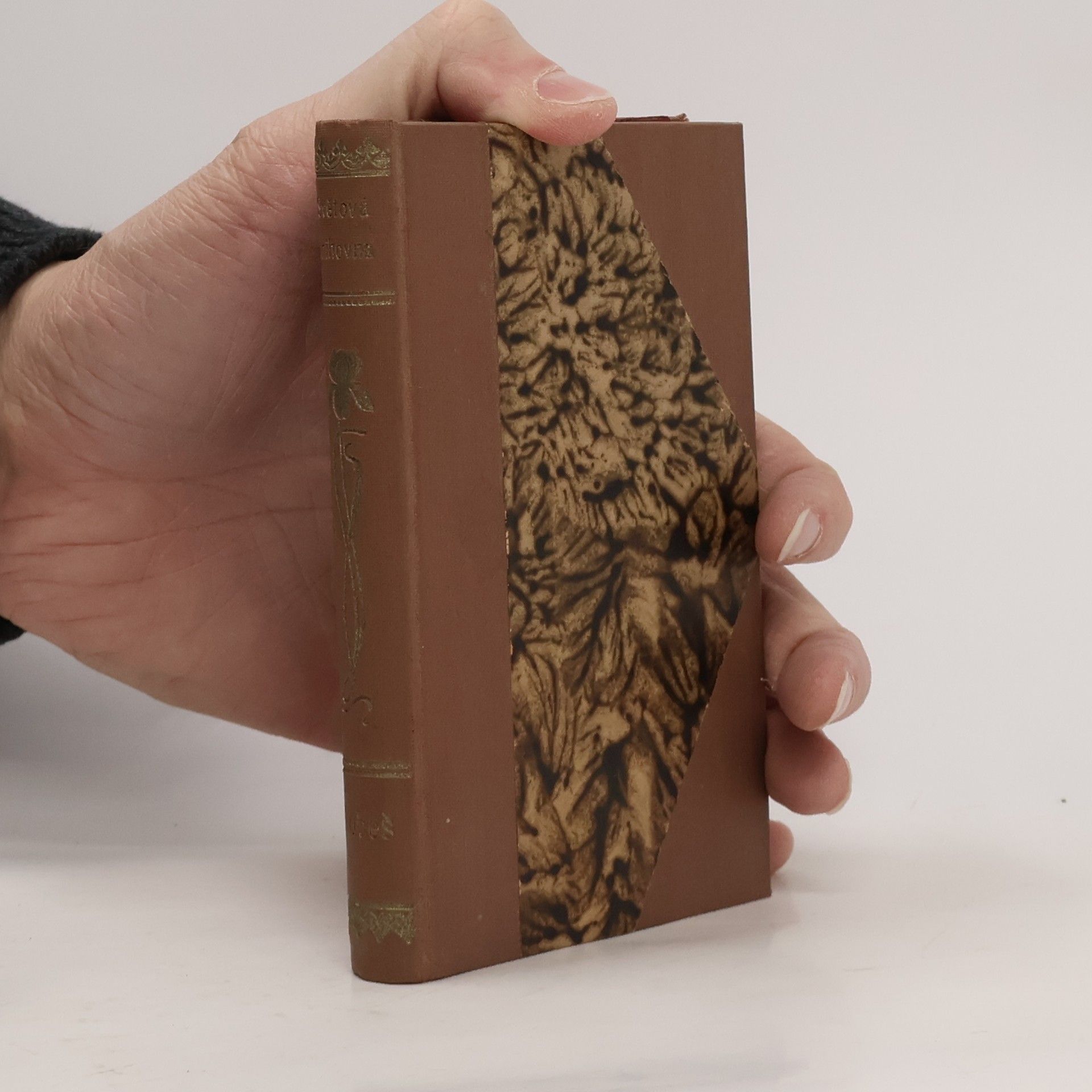 František Jaromír Rubeš Pan Amanuensis na venku