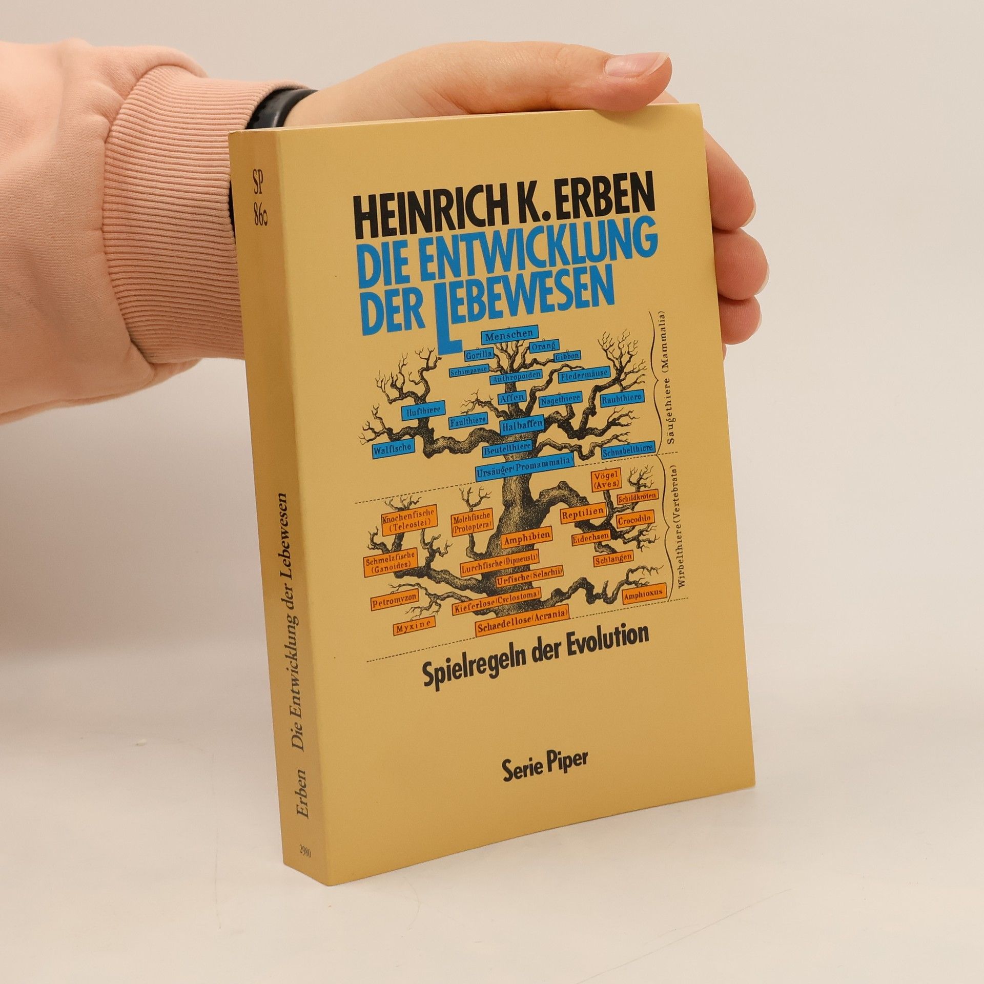 Die Entwicklung der Lebewesen