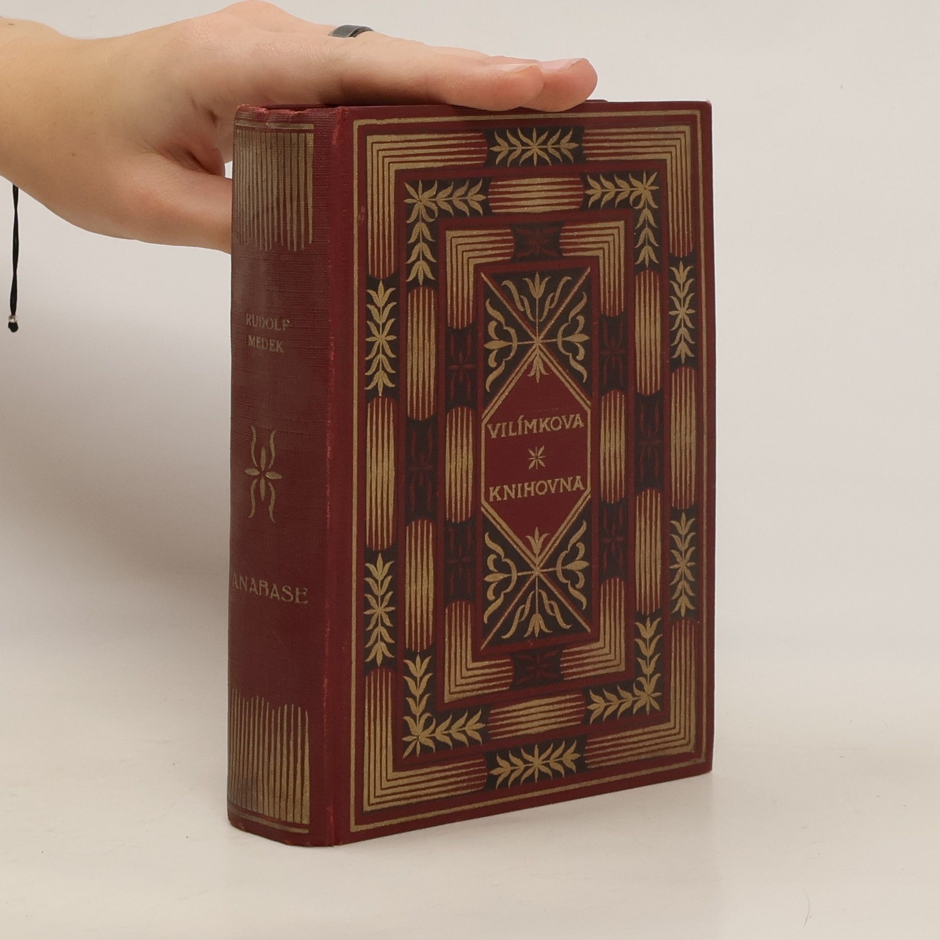 Rudolf Medek Anabase