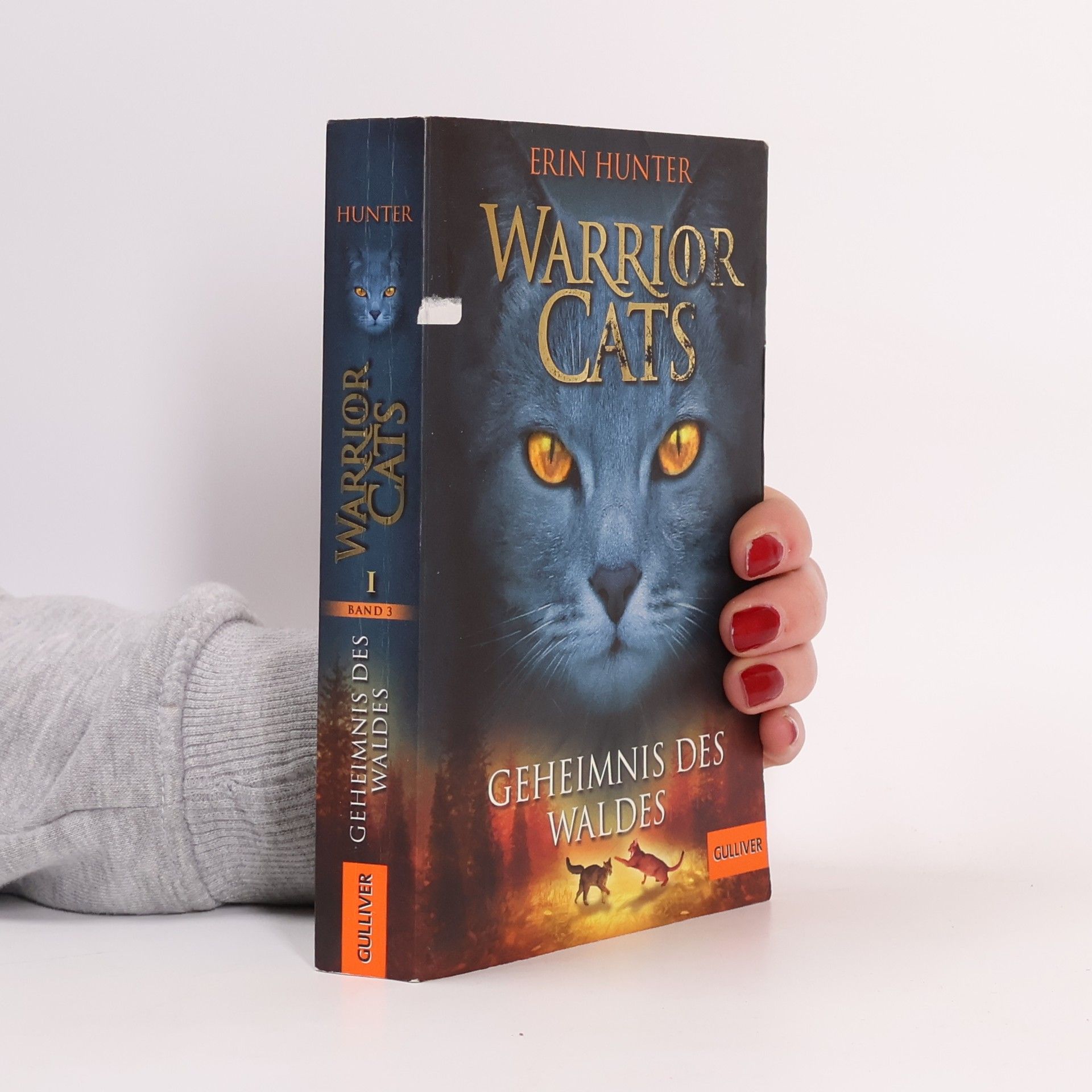 Erin Hunter Warrior Cats. Geheimnis des Waldes