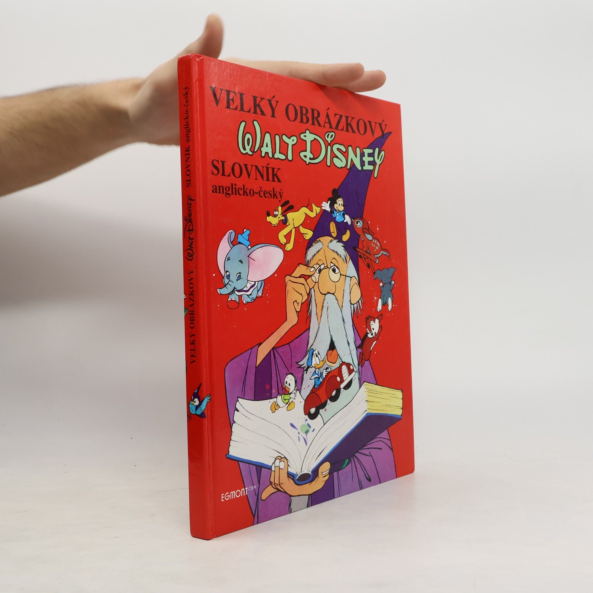 Walt Disney Velký obrázkový slovník anglicko-český