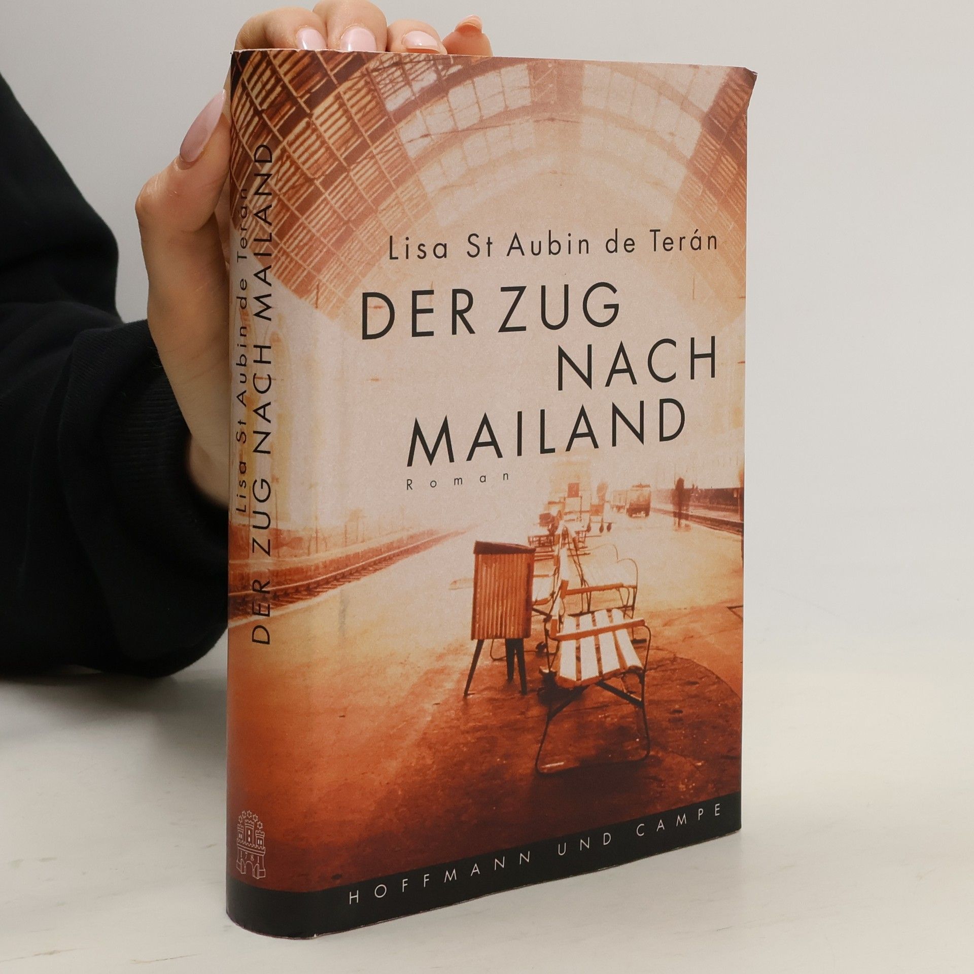 Der Zug nach Mailand