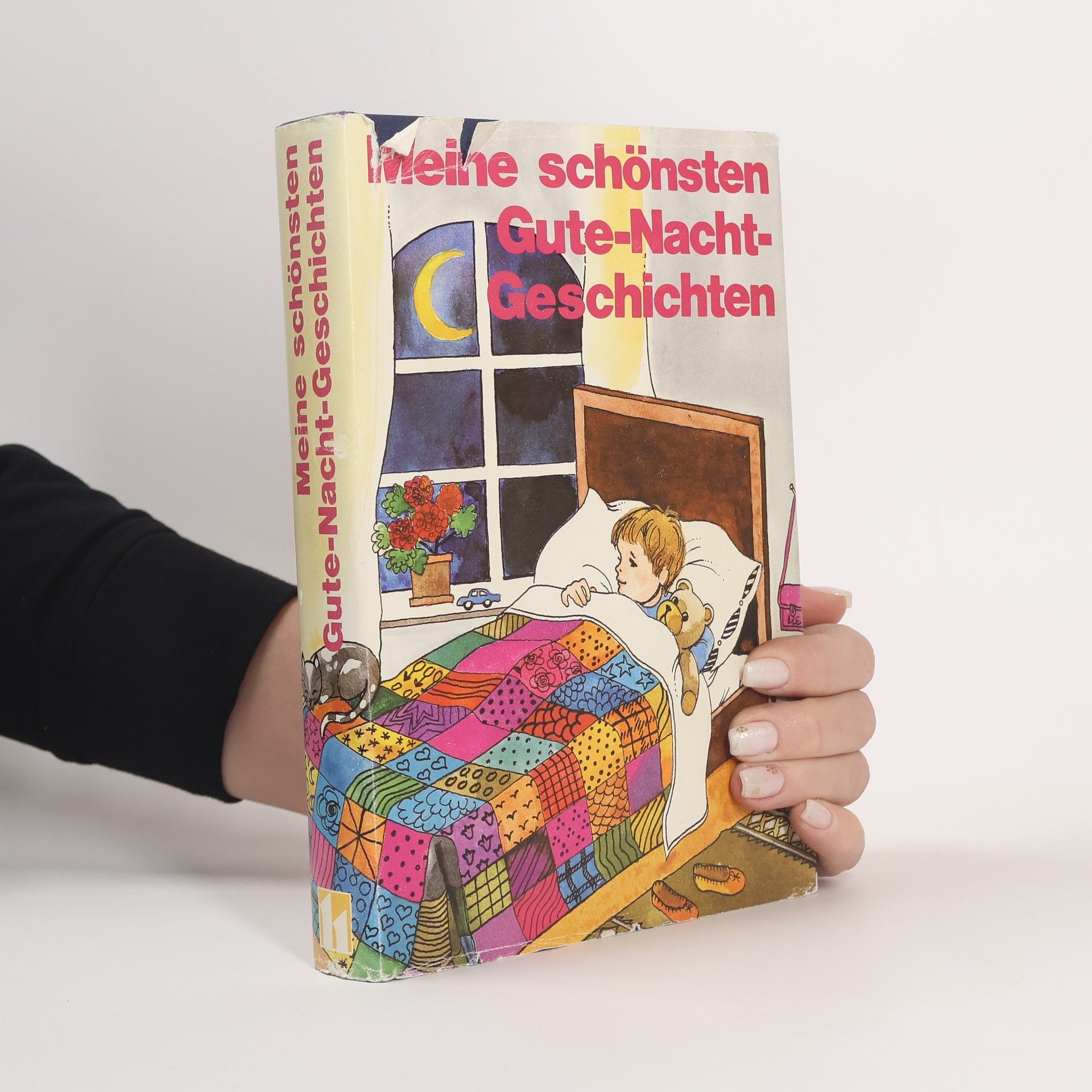 Collectif d'auteurs Meine schönsten Gute-Nacht-Geschichten