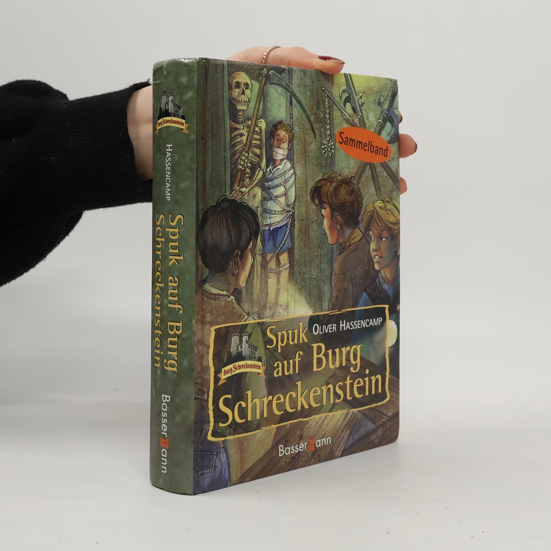 Spuk auf Burg Schreckenstein