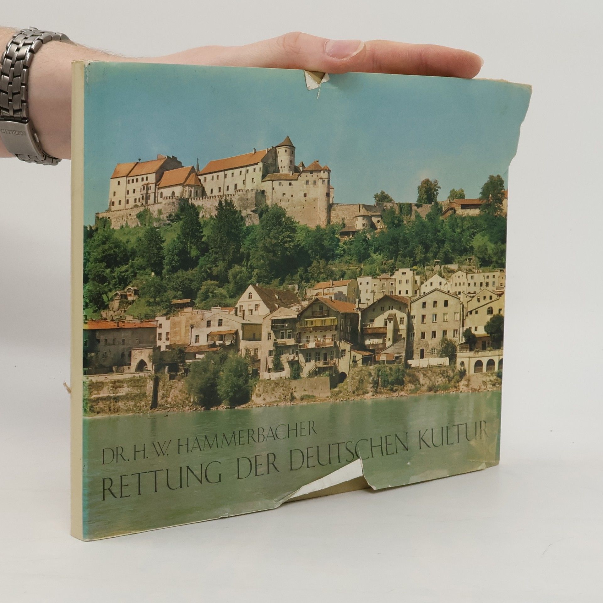H. W. Hammerbacher Rettung der deutschen Kultur