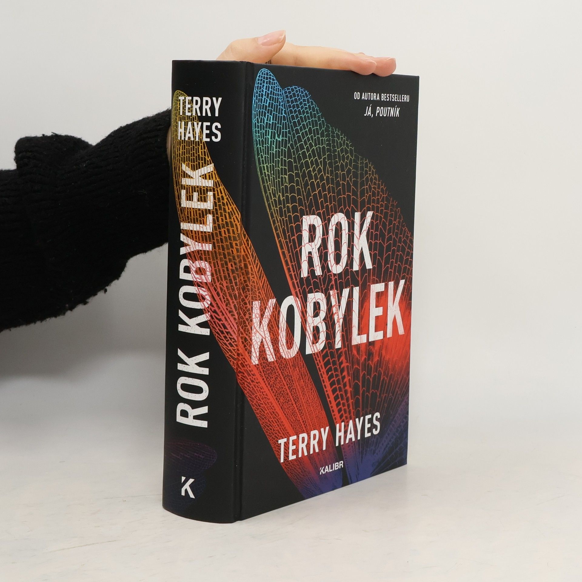 Terry Hayes Rok kobylek